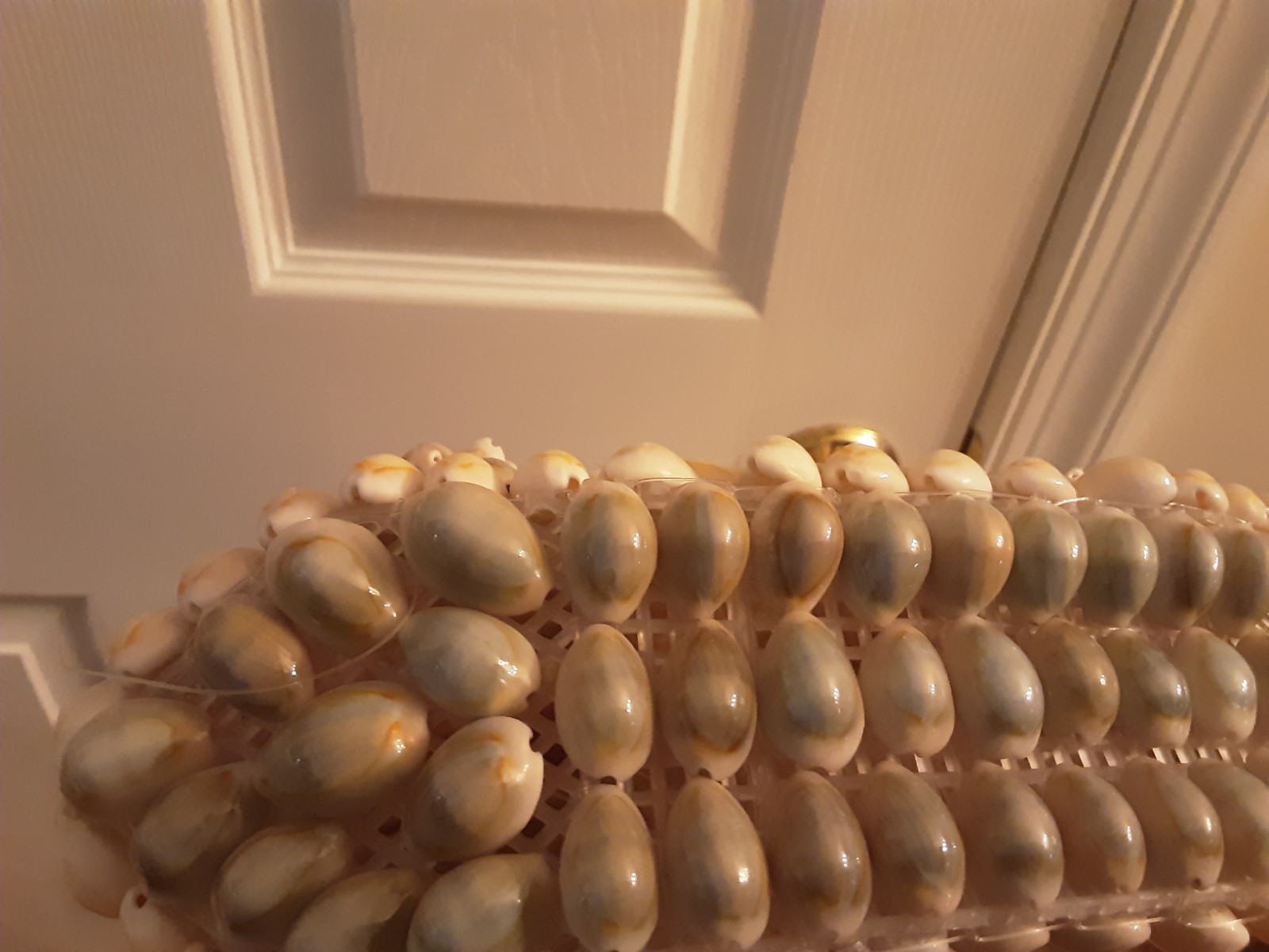 Cowrie and Nassa seashell crossbody or shoulder Handbag flower motifs.