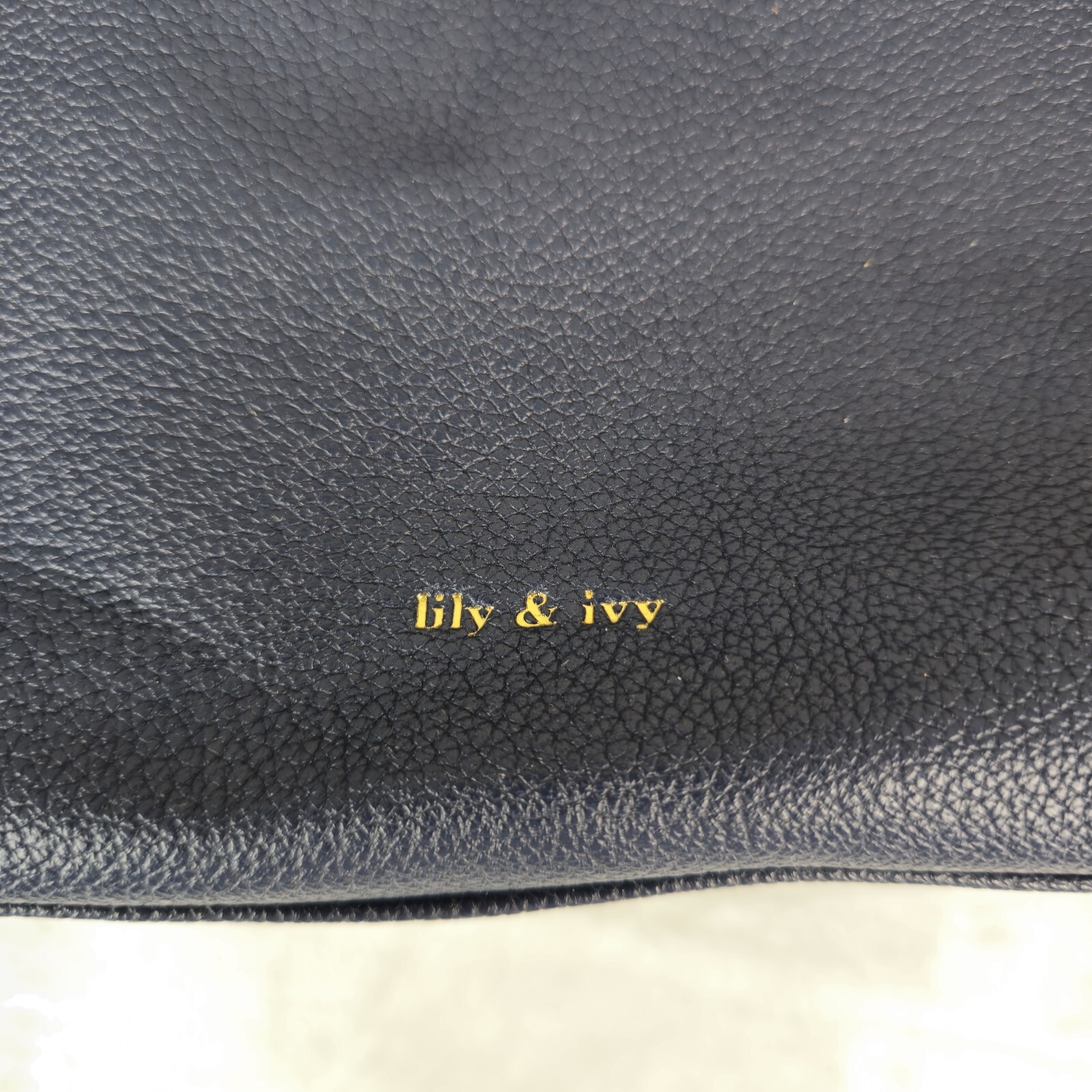 Lily & Ivy Blue Purse Bag