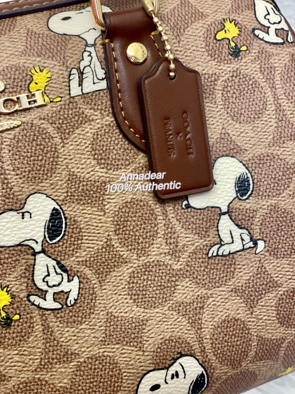 NWT Coach X Peanuts CBM33 Rowan Satchel Bag In Signature Canvas W Snoopy Print