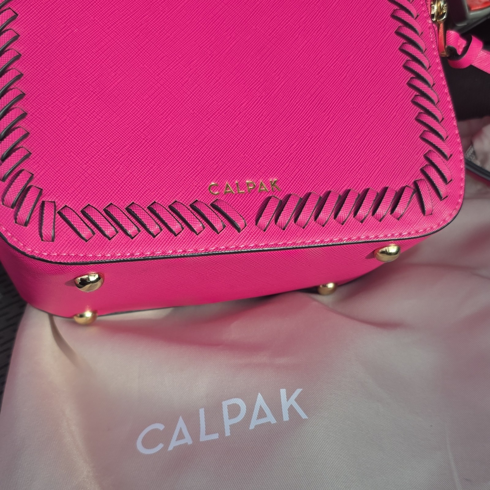 CALPAK Pink Backpack Gold Hardware Whipstitch Zip Closure w/ Dust Bag