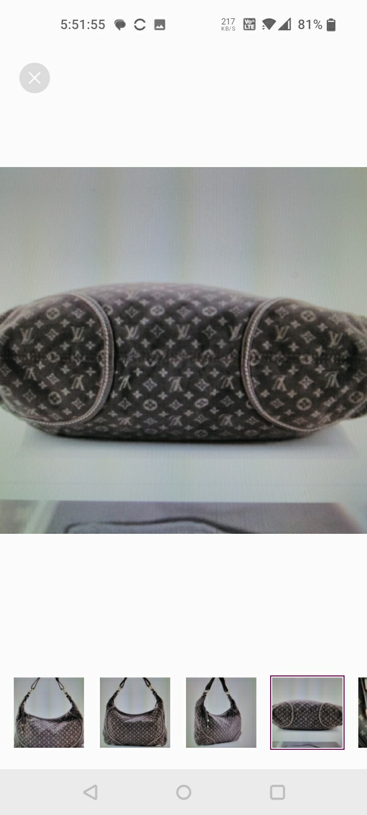 Louis Vuitton Edeme Hobo