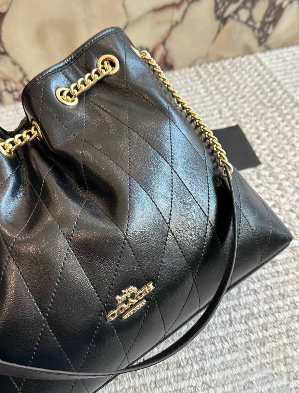 COACH Evelyn Rhigian Stitch Drawstring Tote CDR00