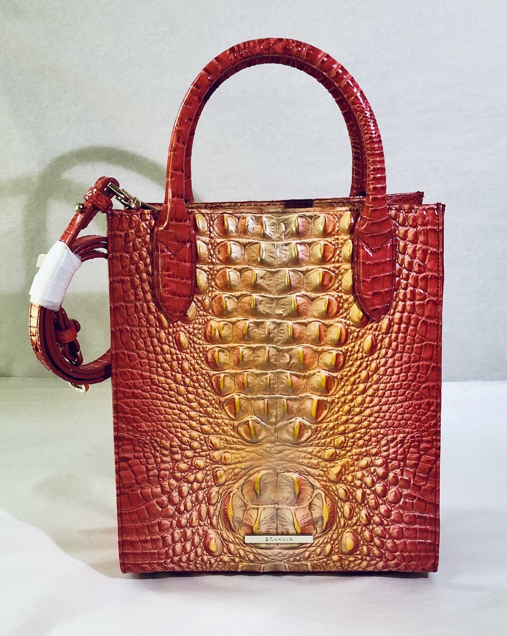 BRAHMIN Ombre Melbourne Collection Moira Infusion Tote Bag