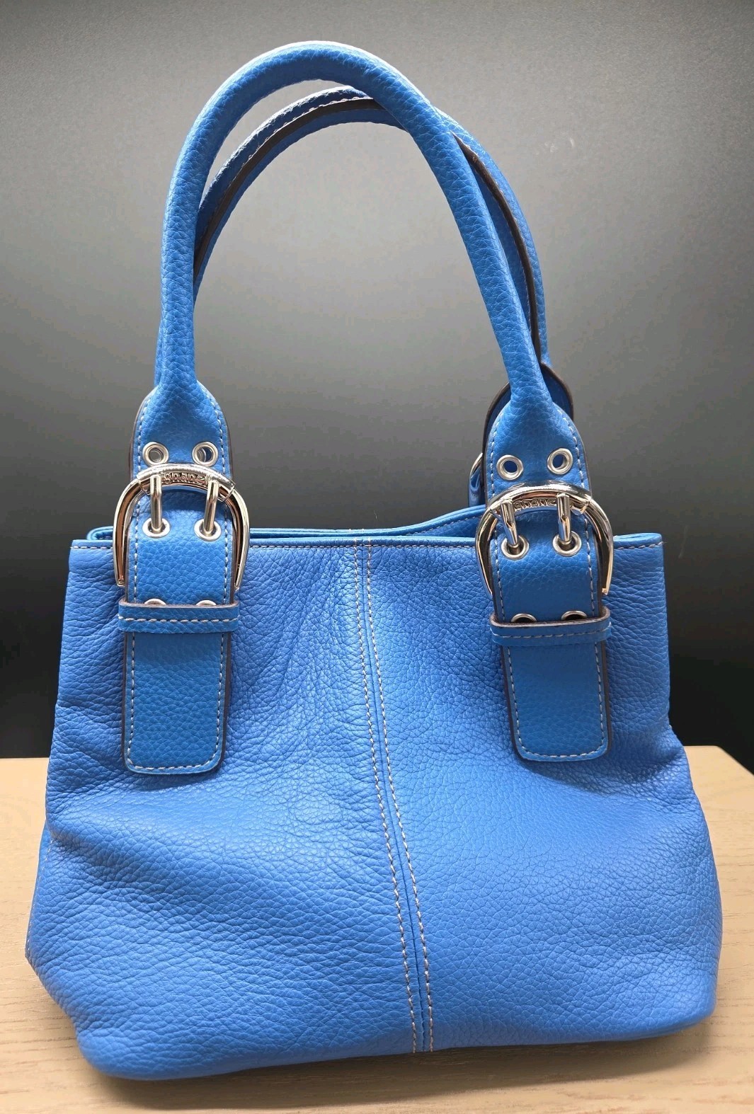 Tignanello Leather Double Handle Ocean Blue Handbag Silver Hardware Medium Size