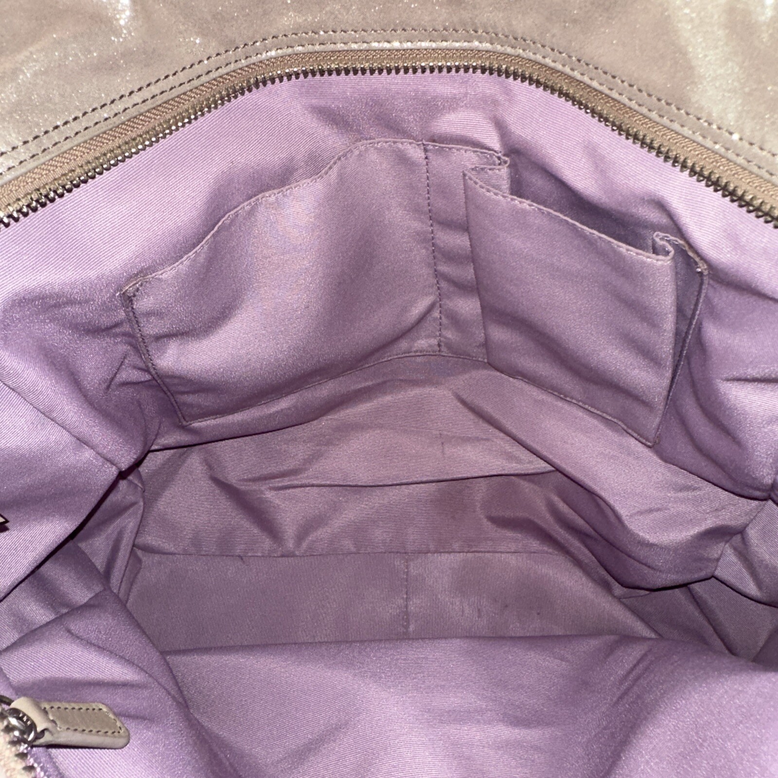 COACH Hampton Laguna Metallic Shimmer Nude Gold Tote Bag Purse M1060-F16562