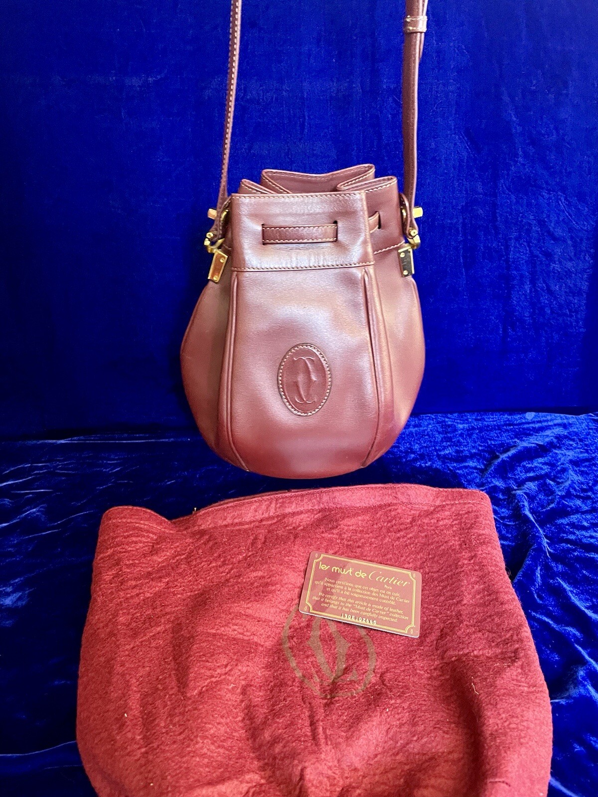 Cartier Bag Shoulder Crossbody Bucket Med Size Leather Pouch Case Bag Backpack