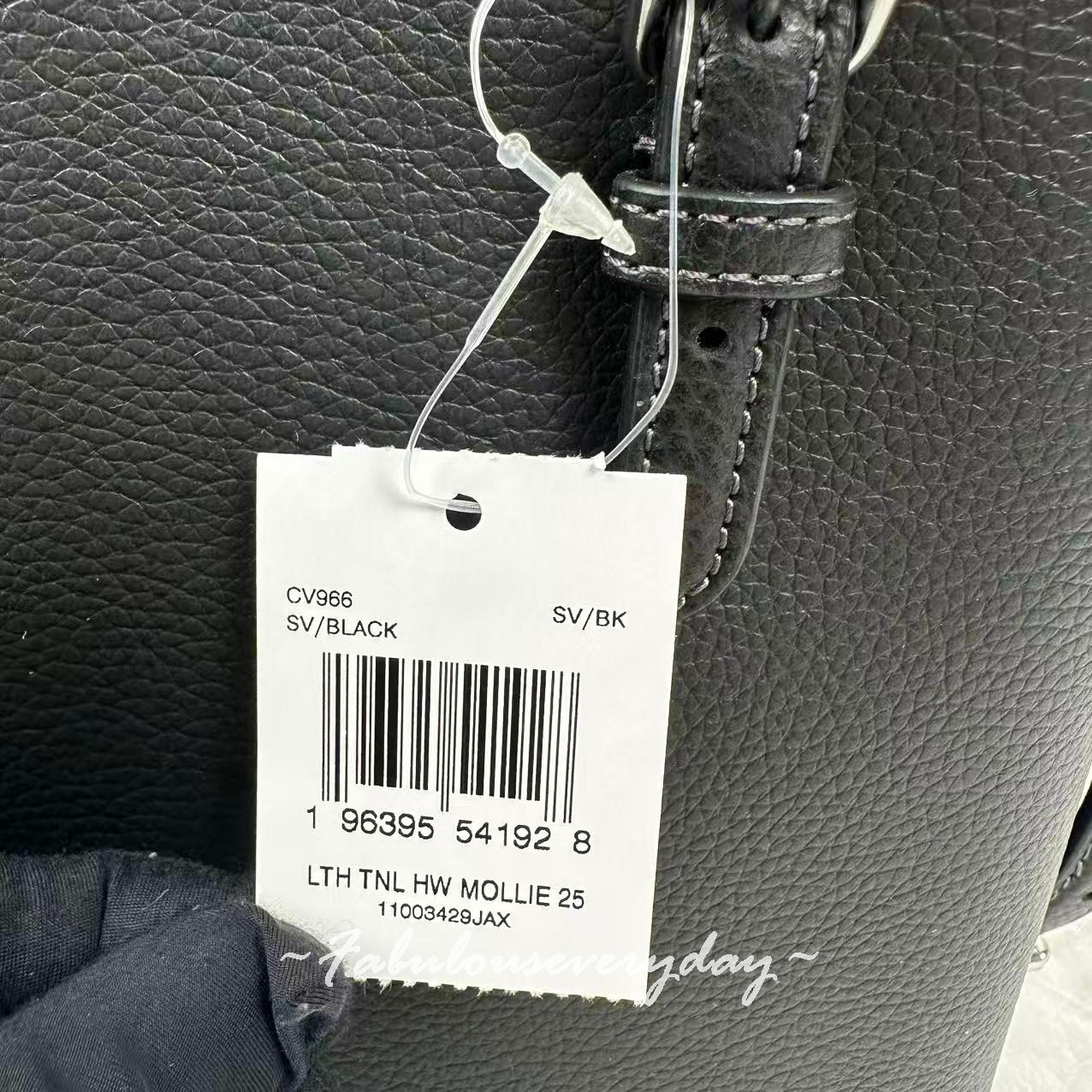 Coach Mollie Tote Bag 25 Crossbody In Leather/Silver/Black CV966 NWT