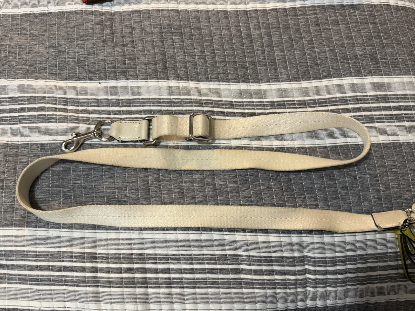 Coach Park Pebbled Leather Swingpack Small Crossbody Bag