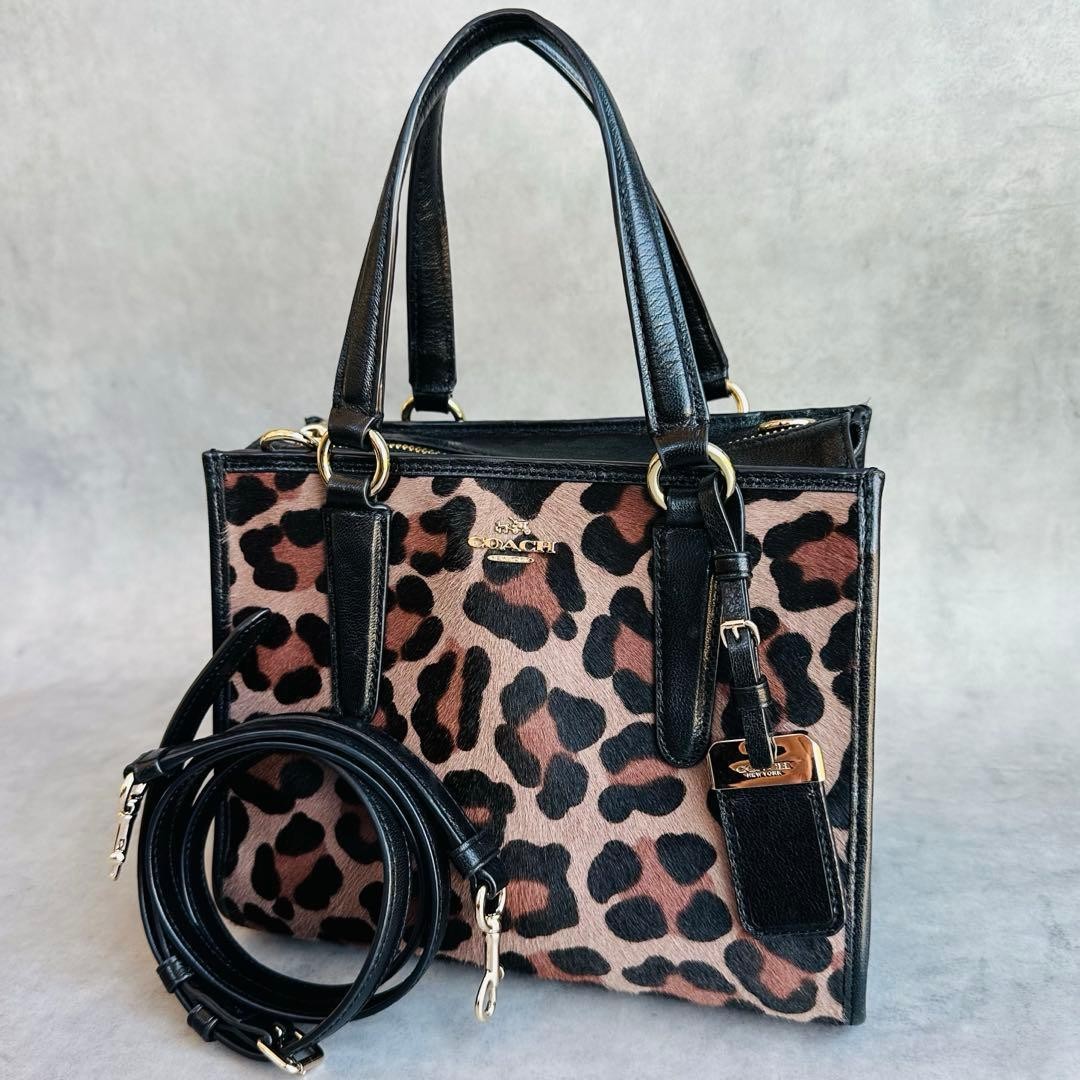 Y2K COACH Harako Leopard 2 way Bag