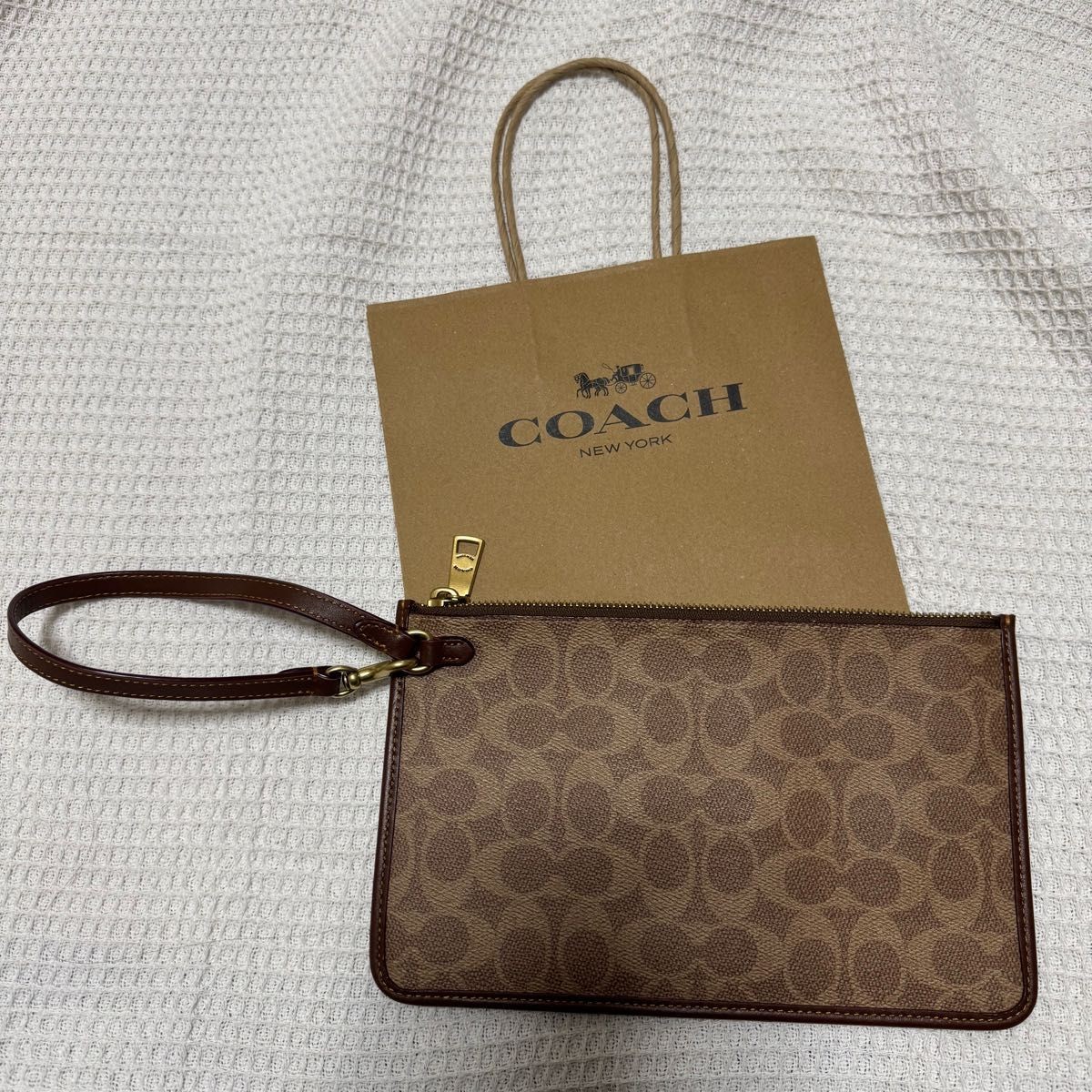 COACH Zip Pouch Signature Canvas