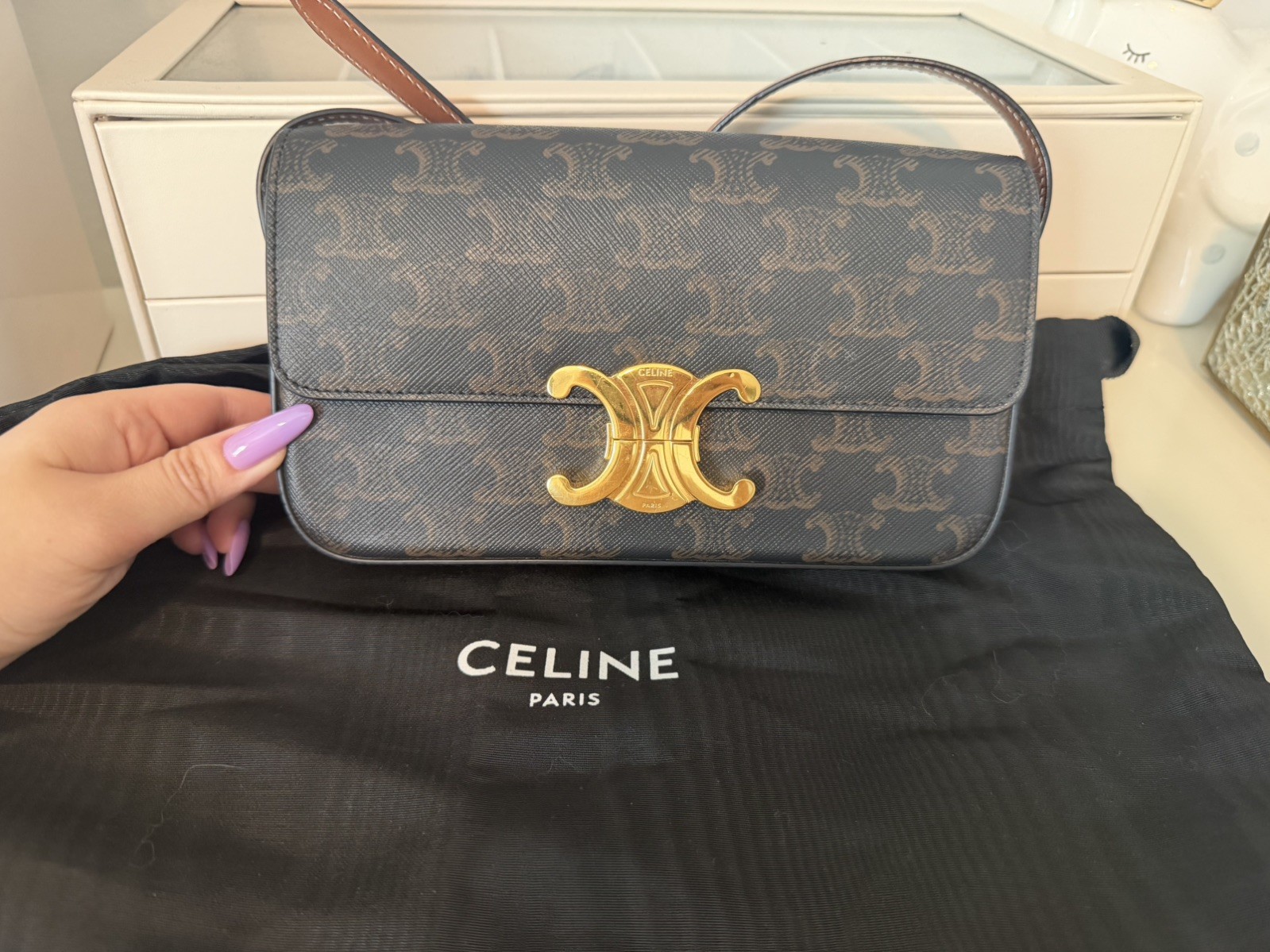 Celine Triomphe Canvas Shoulder Bag Black Brown Gold Women Classic Fashion