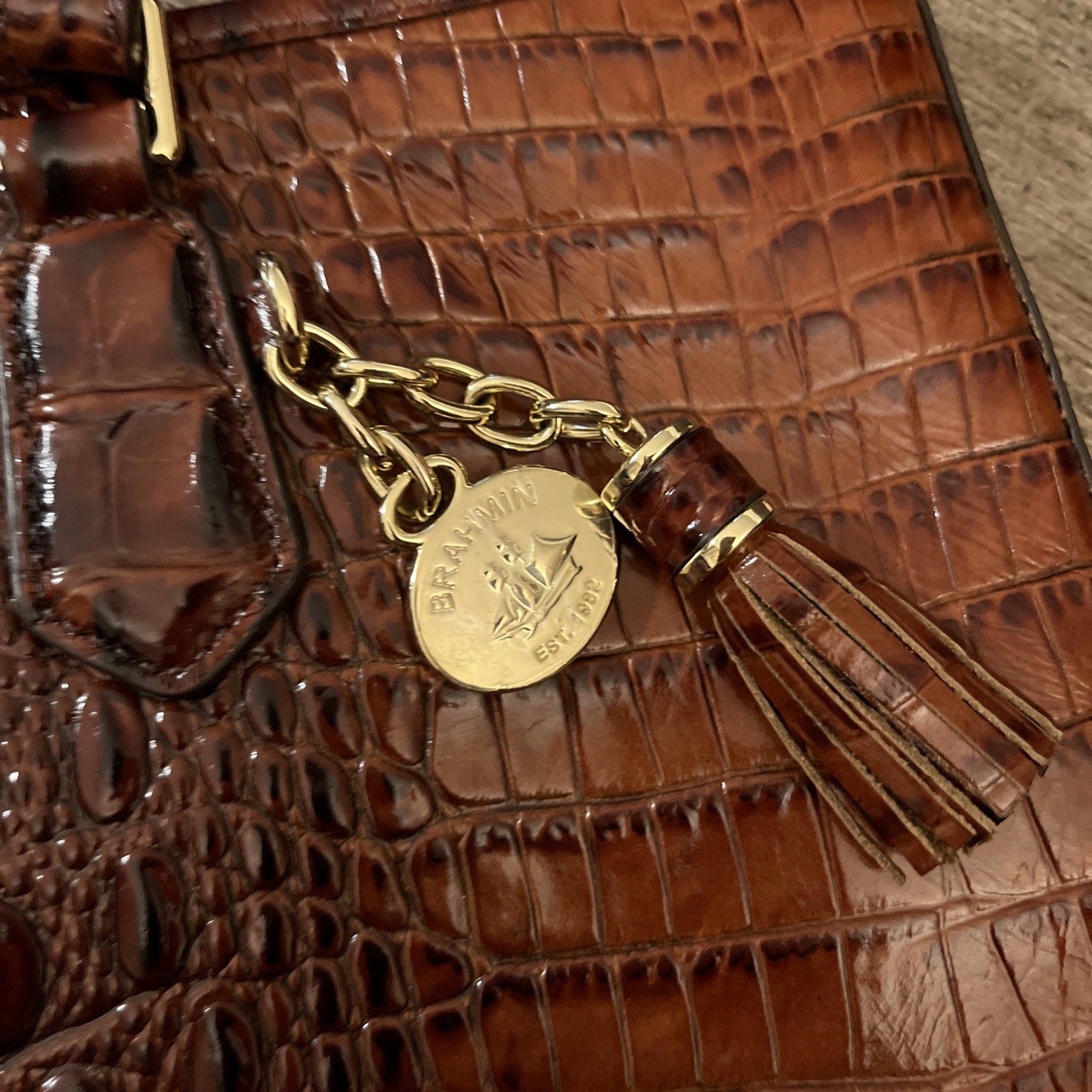 Brahmin Pecan Brown Melbourne Leather Asher Tote Bag NWT