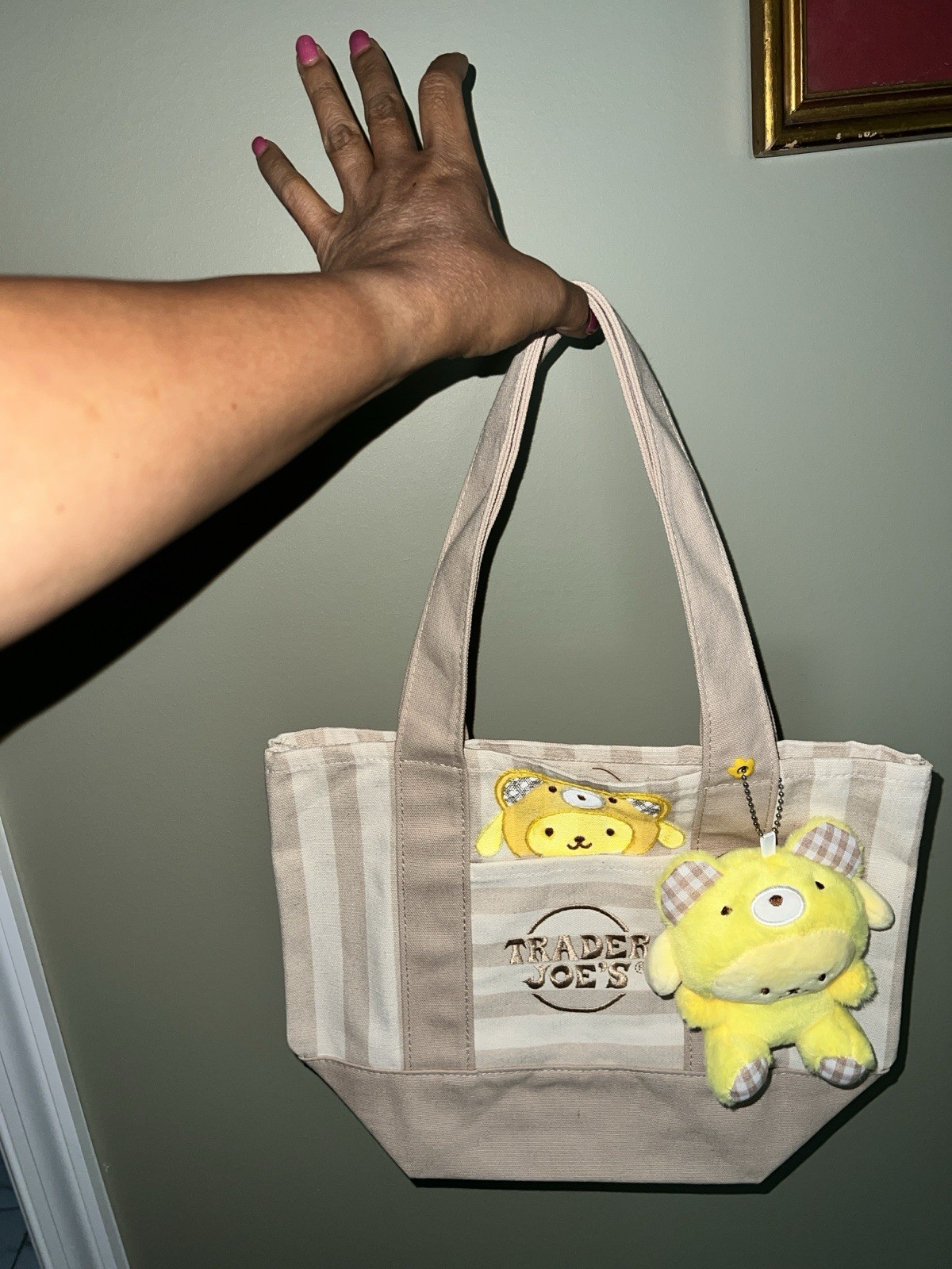 Trader Joes Striped Mini Tote Beige Custom Pompurin Painted / Embroidered