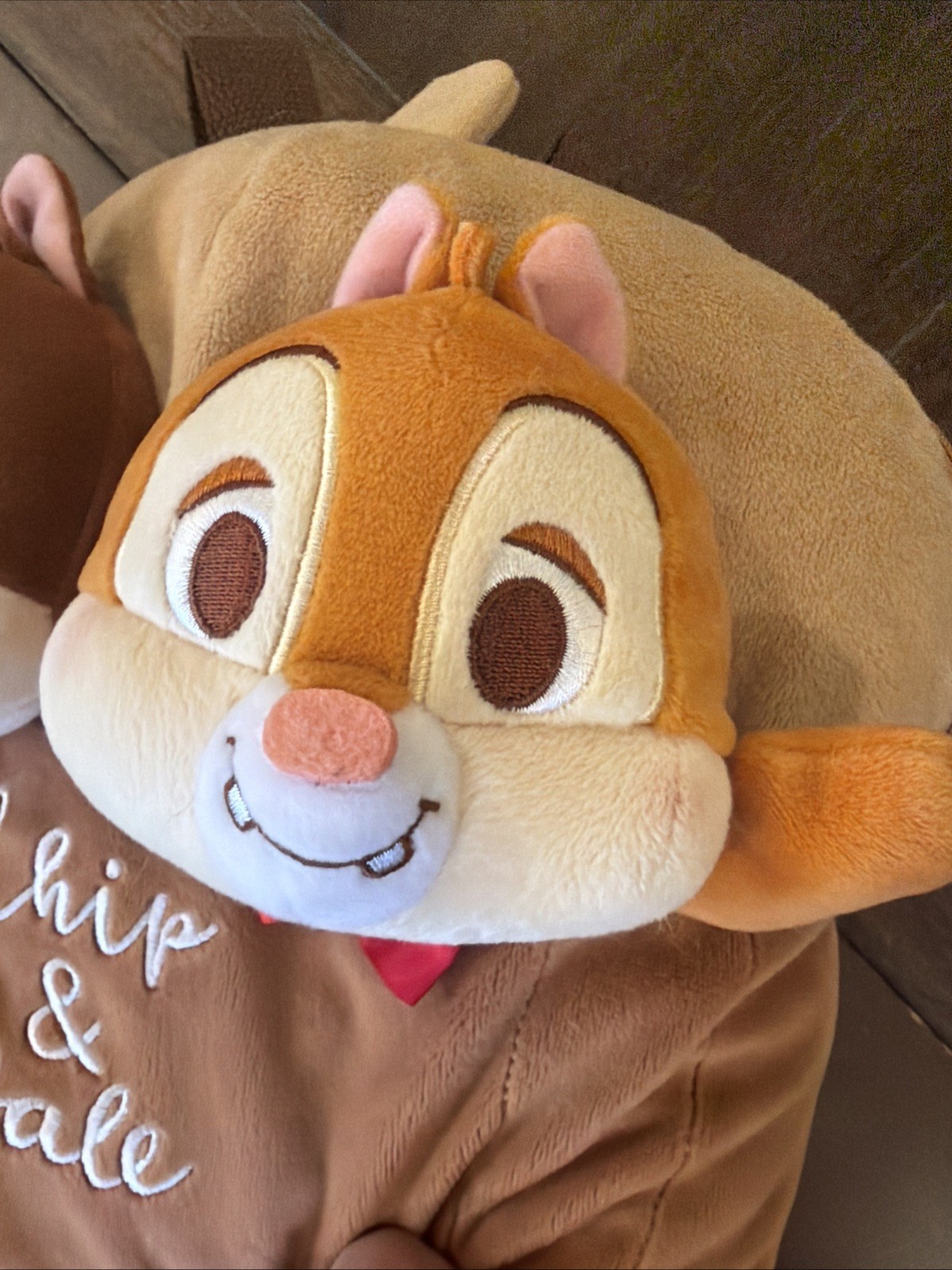 Super Cute Chip and Dale Backpack From Tokyo Disney ￼