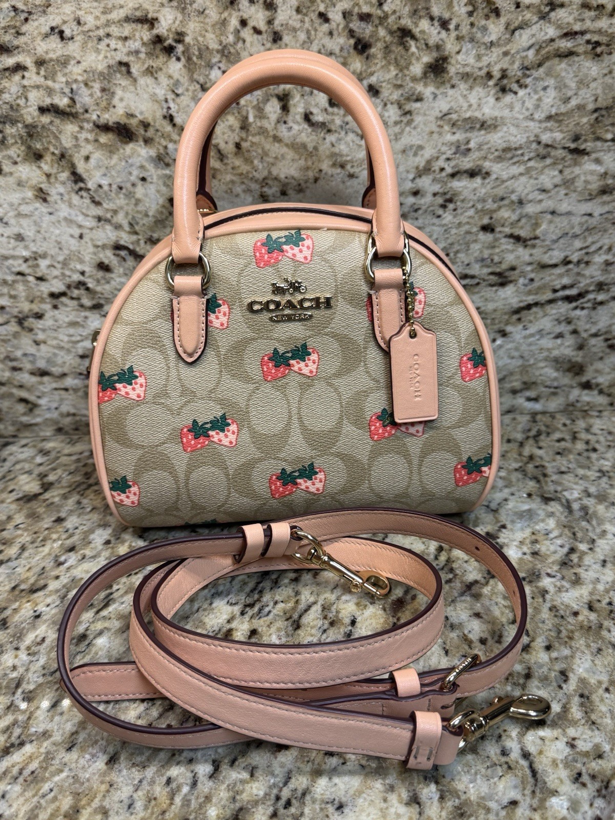 Coach Sydney Satchel In Signature Canvas With Strawberry Print CB596