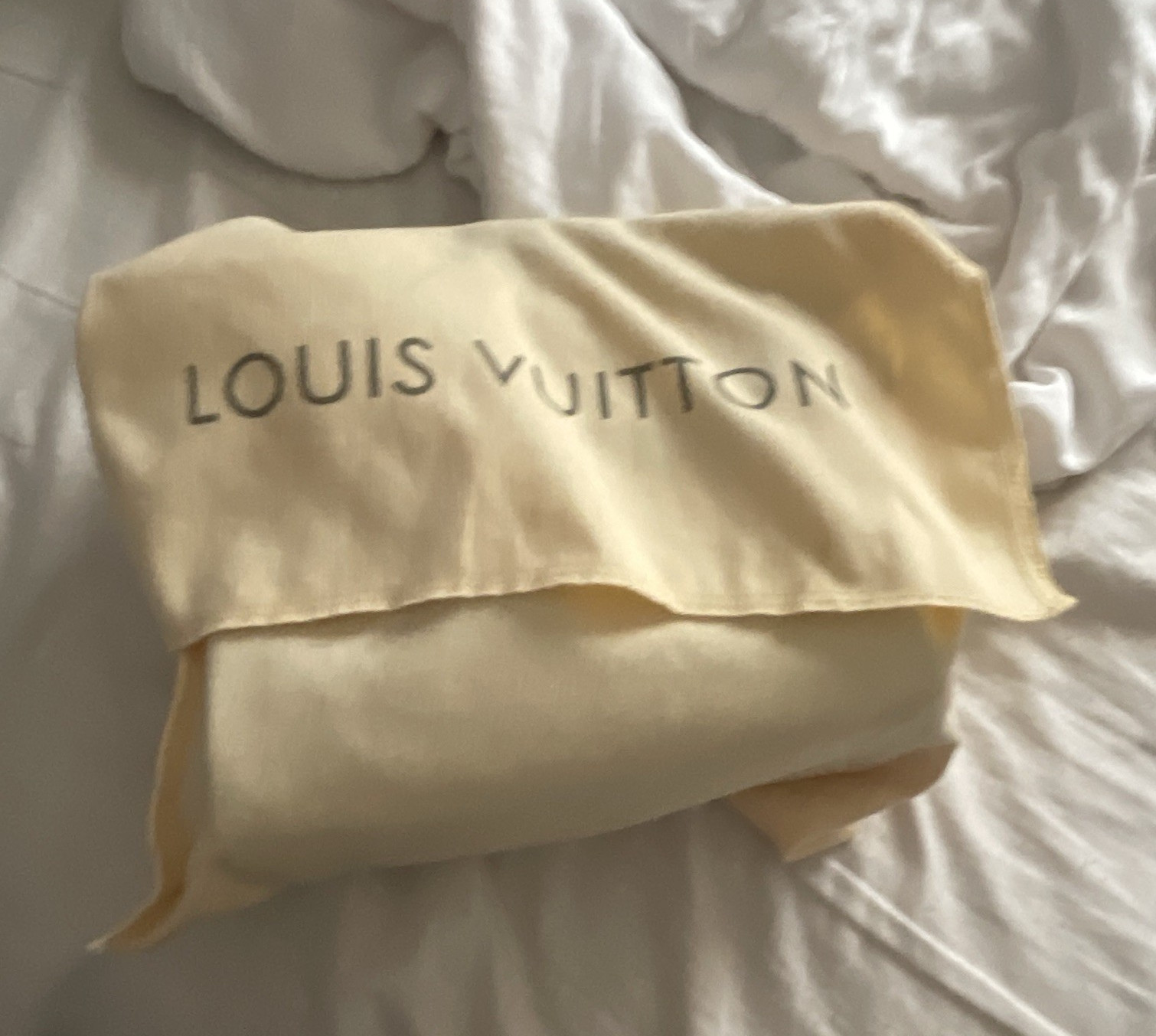 Louis Vuitton Damier Brown Top Handle Zip Bag Red Lining Gold HW Dust Bag Charm