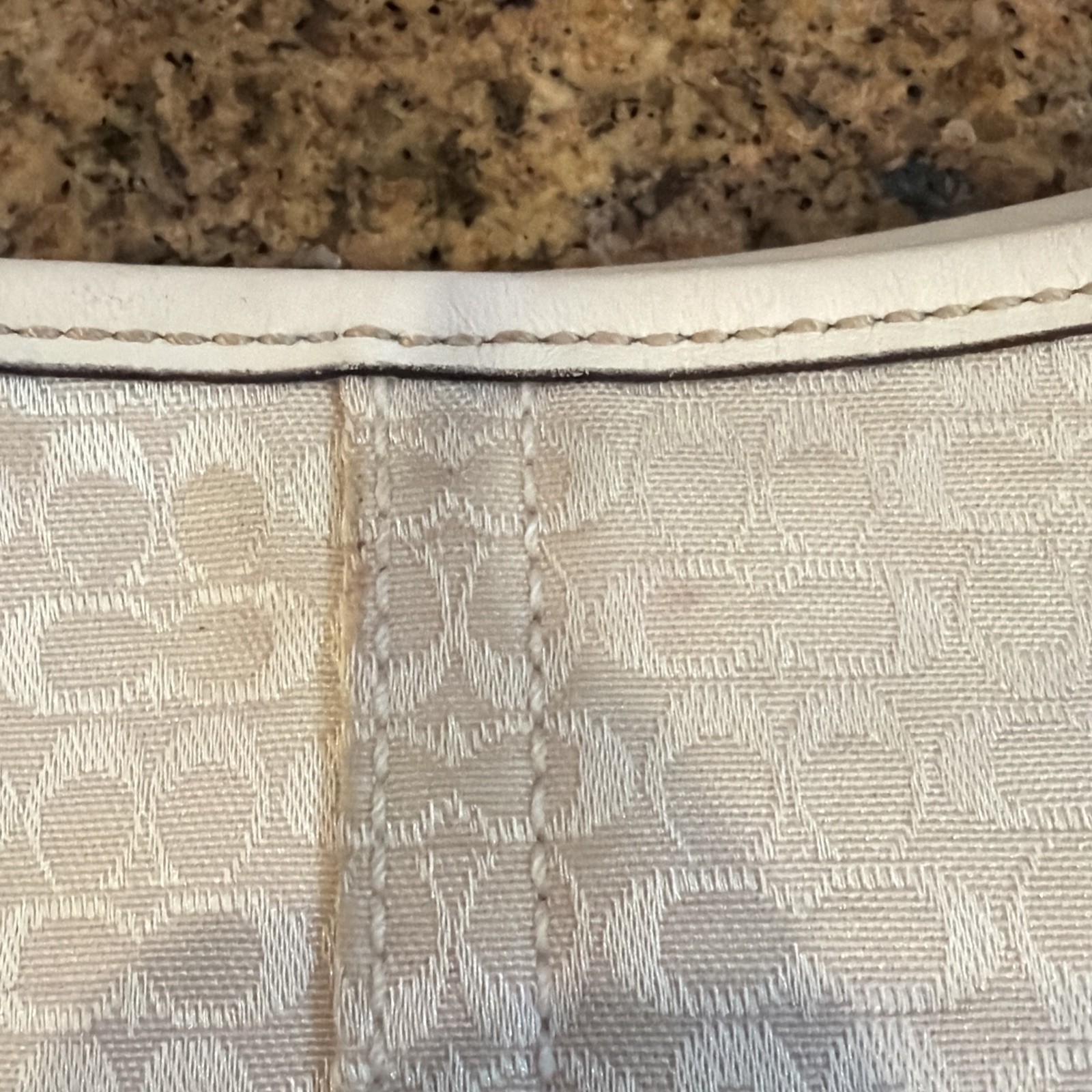 Coach Y2K White Mini Signature Canvas Soho Hobo 6351