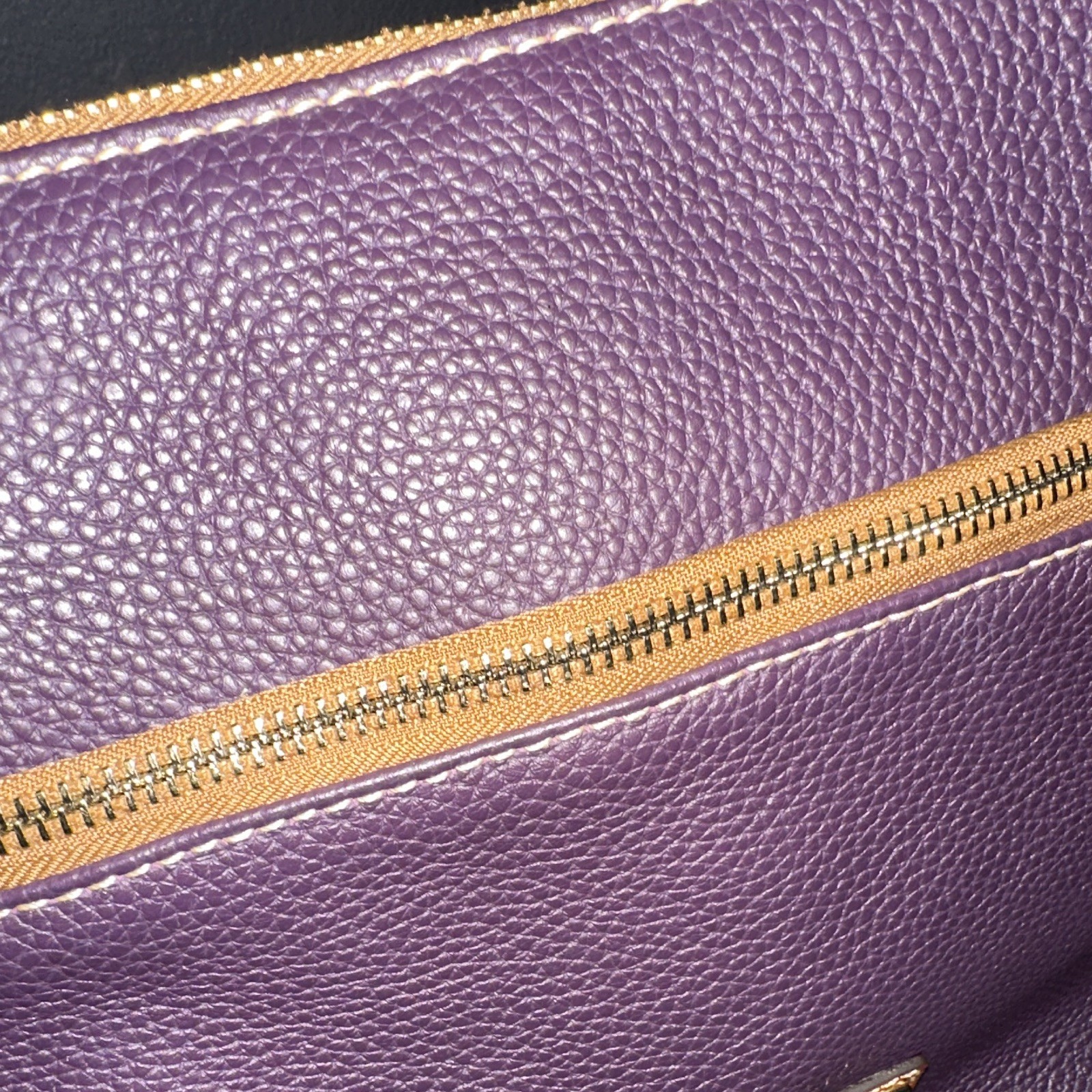 Dooney & Bourke Purple Pebbled Crossbody Bag Brown Strap Zip Top Gold Hardware