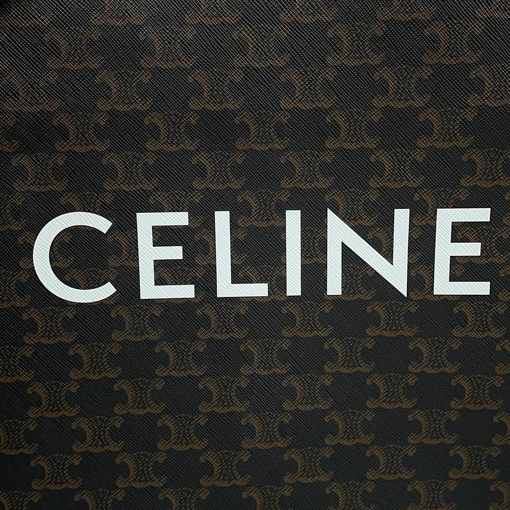 Celine Triomphe Small Vertical Cabas PVC Leather 191542BZK Shoulder Bag #TZB2698
