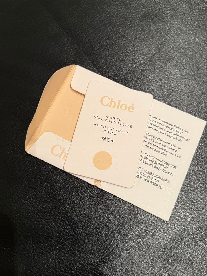 Authentic Chloe Medium Woody Tote Bag Shoulder Bag Beige Canvas From Japan