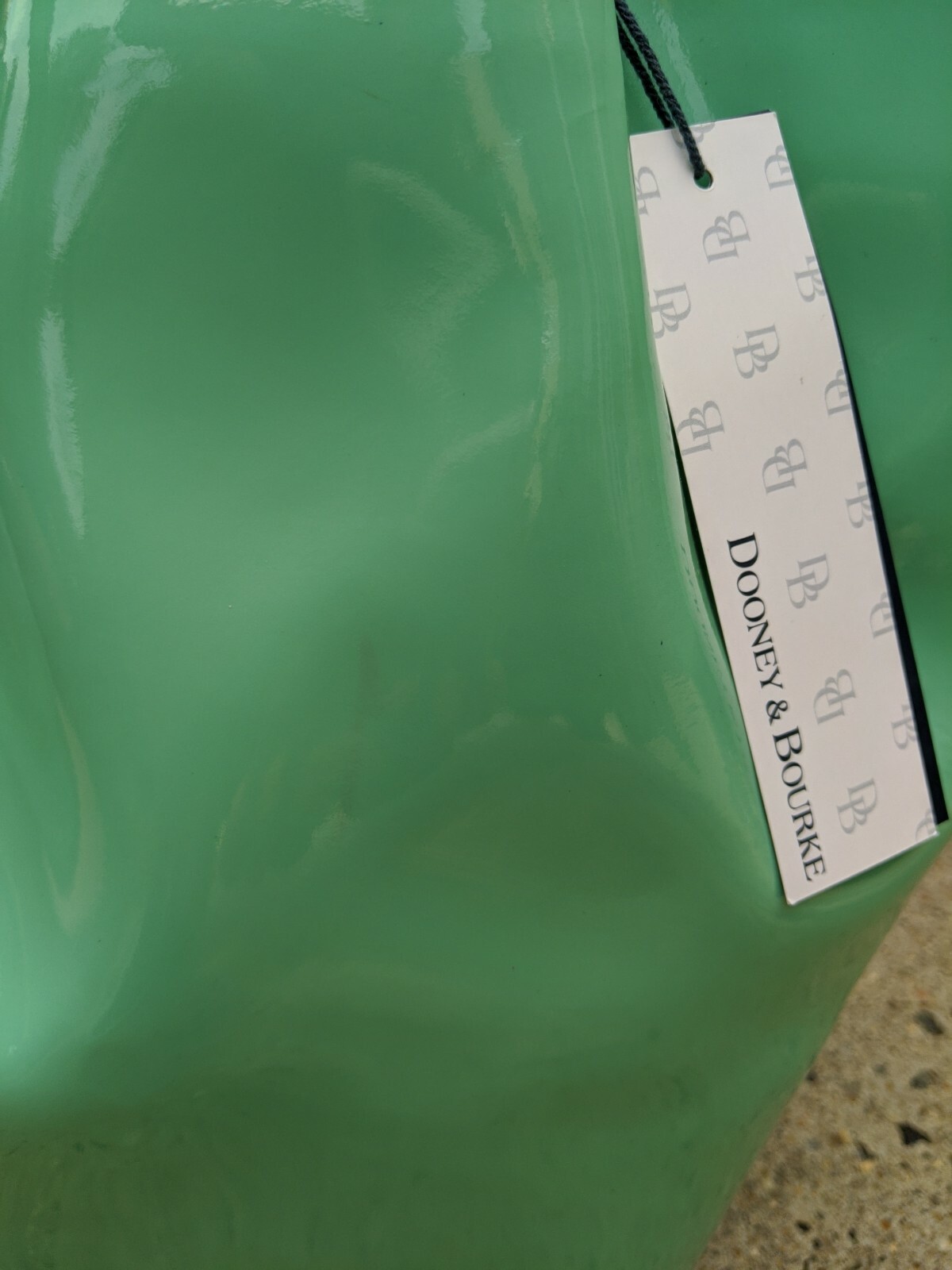 Dooney & Bourke Celery Green 🥬 Patent Leather Large City Flynn