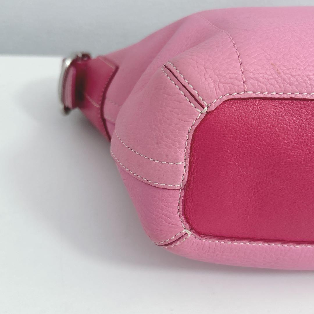 Rare Color Excellent Condition COACH One Shoulder Bag Shoulder Carry Leather Pin