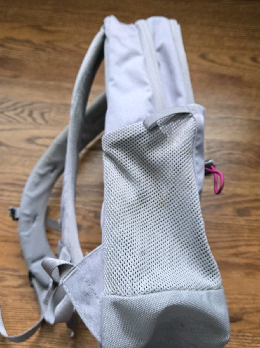 The North Face Backpack Jester Bookbag Laptop Sleeve Gray Pink