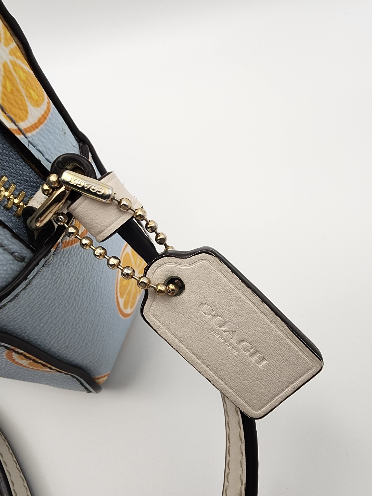 Coach Orange Slice Citrus Mini Camera Crossbody Handbag Purse Blue Orange