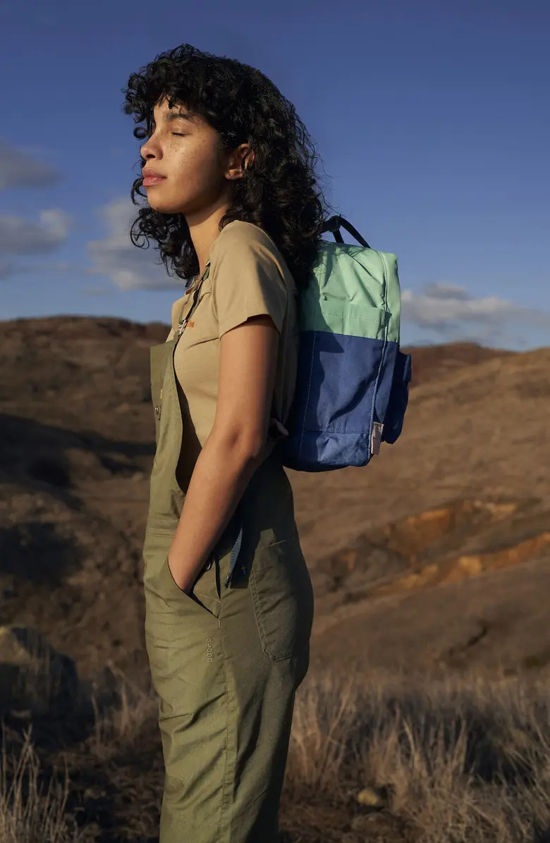 Fjällräven Fjallraven Water Repellent Kånken Art Backpack ~NWT~ COAST LINE-SKY