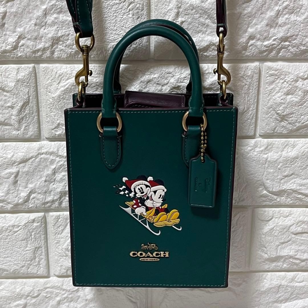 Coach Disney Mickey Minnie North South Mini Tote Crossbody Shoulder Bag CN021