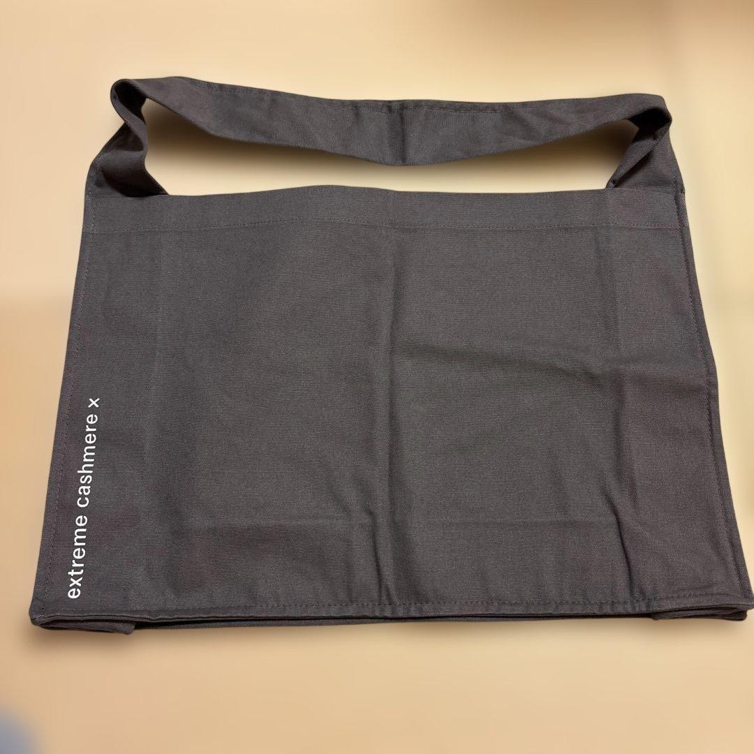 Extreme Cashmere Dark Gray Canvas Shoulder Bag – Minimal Design
