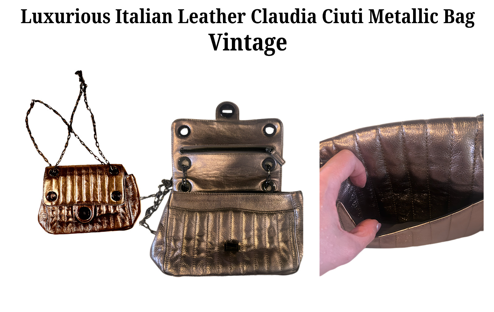 Luxurious Italian Leather Claudia Ciuti Metallic Bag Vintage Strikingly Stunning