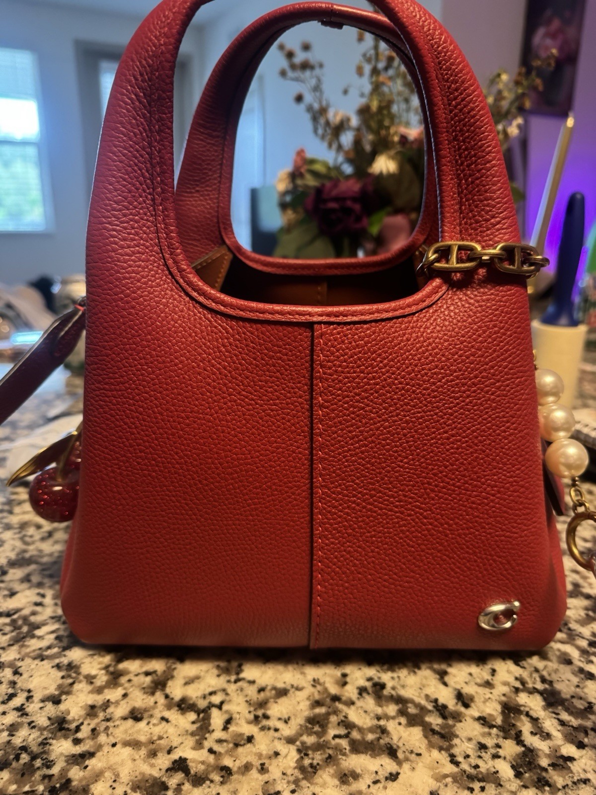 Coach LANA 23 Bag w/ Adjustable Detachable Strap❤️🍒