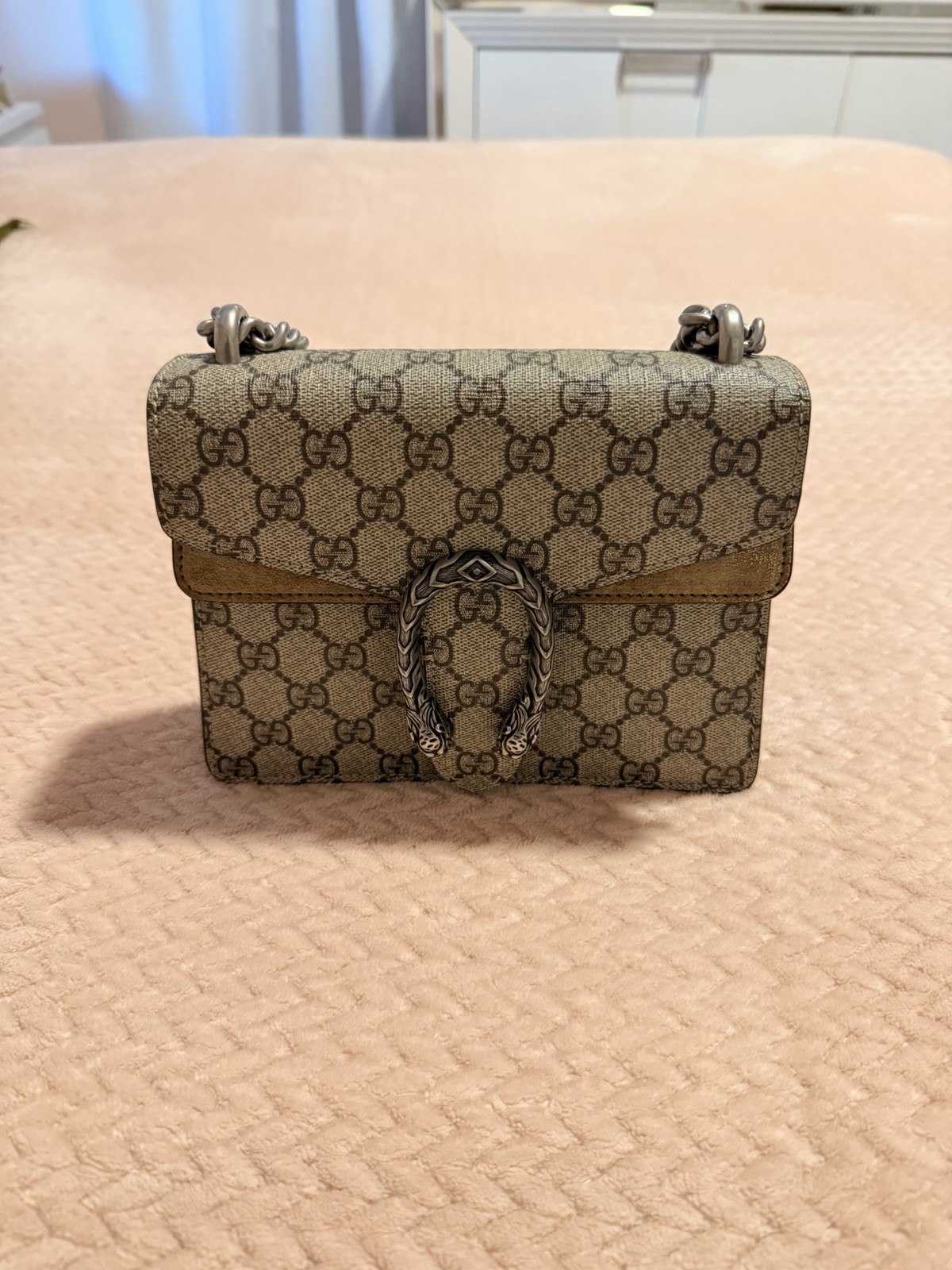 Gucci Dionysus GG Small Beige Shoulder Bag Silver Chain Push Lock Box