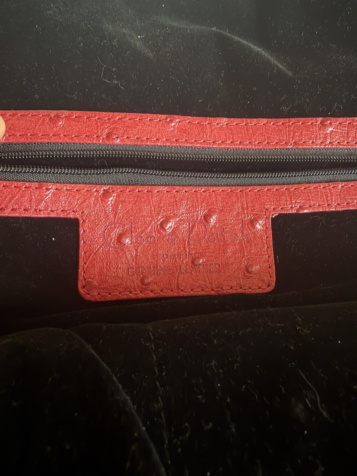 Cleo & Patek Paris Alligator Ostrich Embossed Leather Travel Handbag Lock &Key