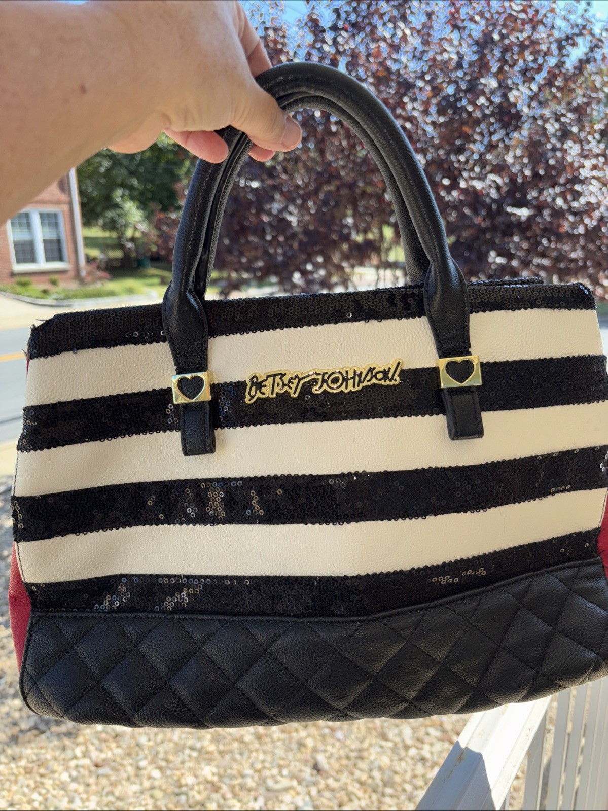 Betsey Johnson Sequin Satchel Black And White Stripe With Pink Floral Liner