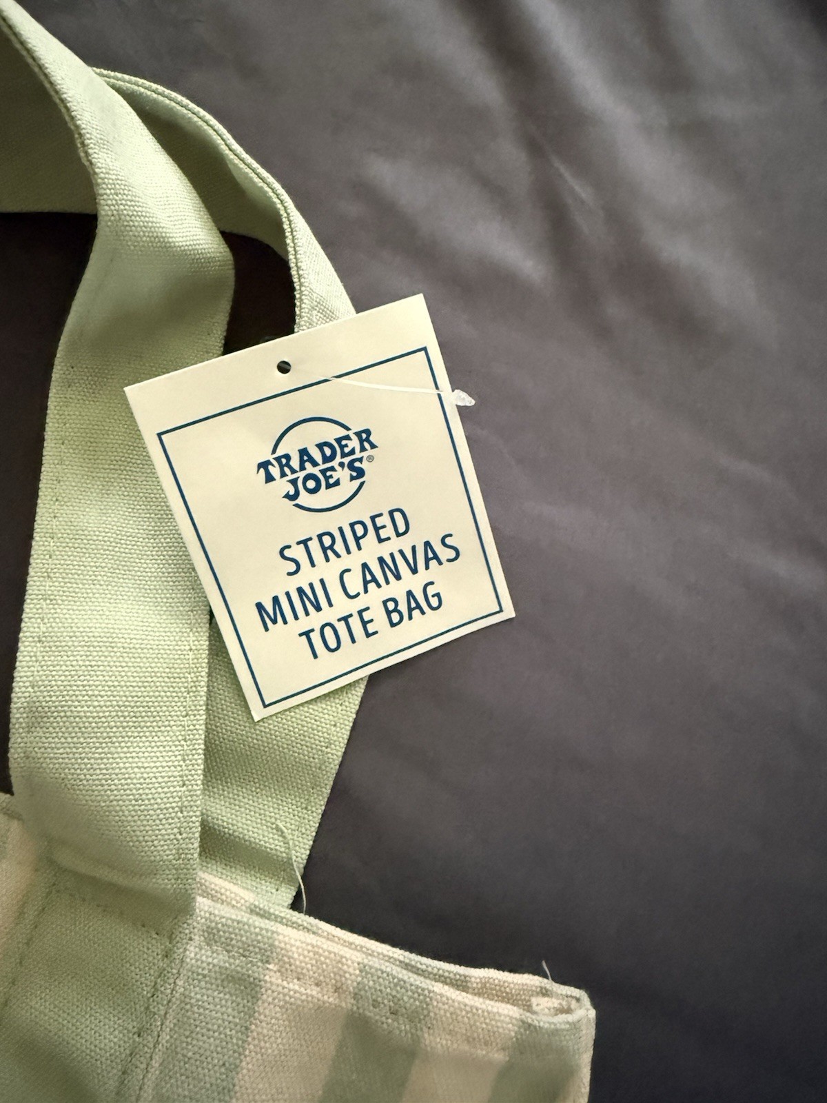 Trader Joe’s Striped Mini Canvas Tote Bag Green/White Reusable 13x10x6″