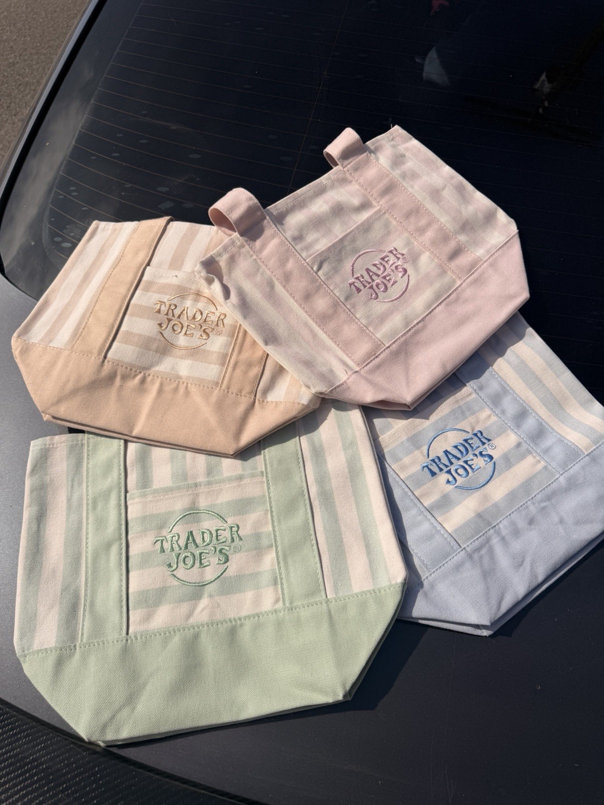 Trader Joe’s Limited Mini Canvas Pastel Striped Tote Bag 2026