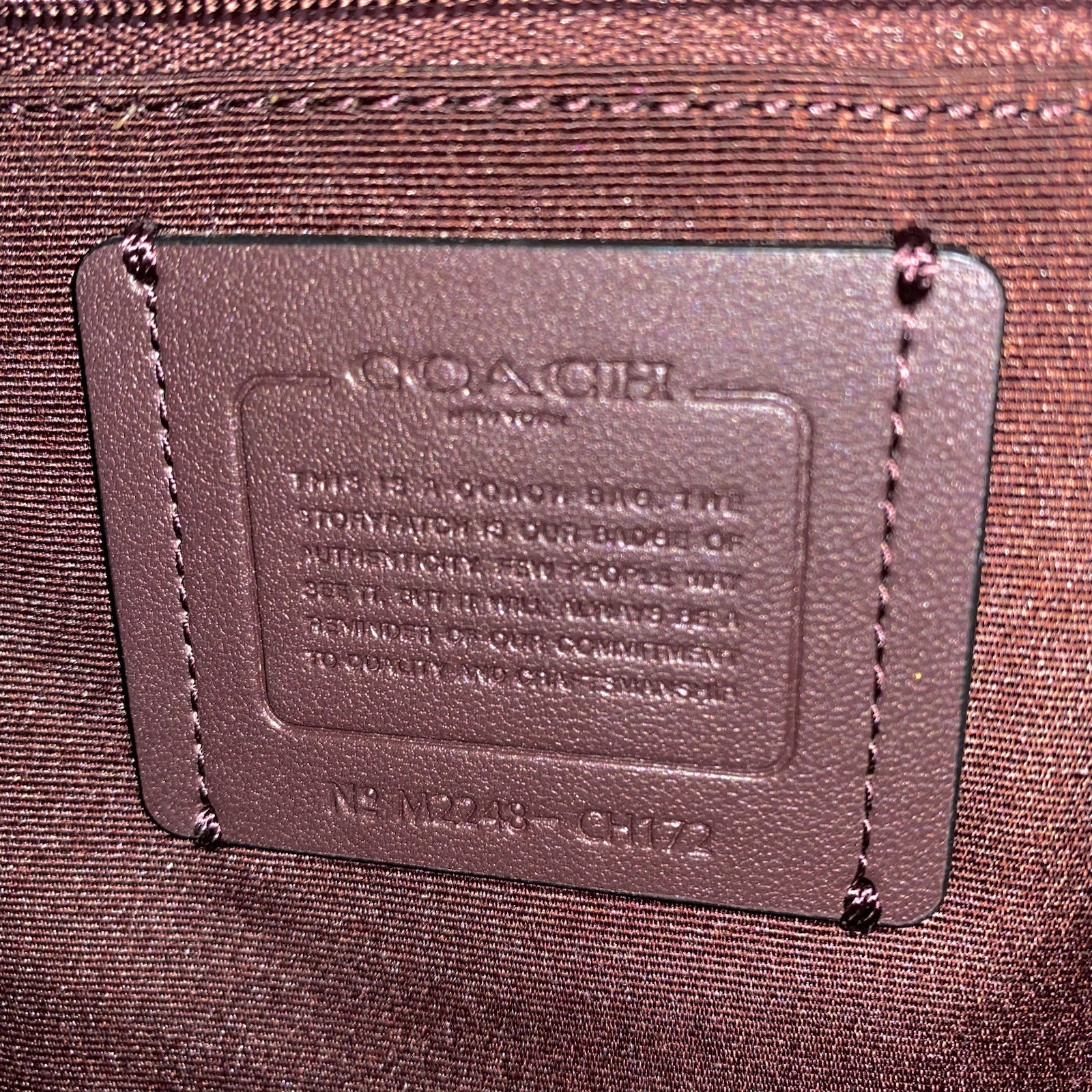 Coach Large Darcie Carryall | 100% Leather Exterior, Used Only Once, Lgth 12.75”