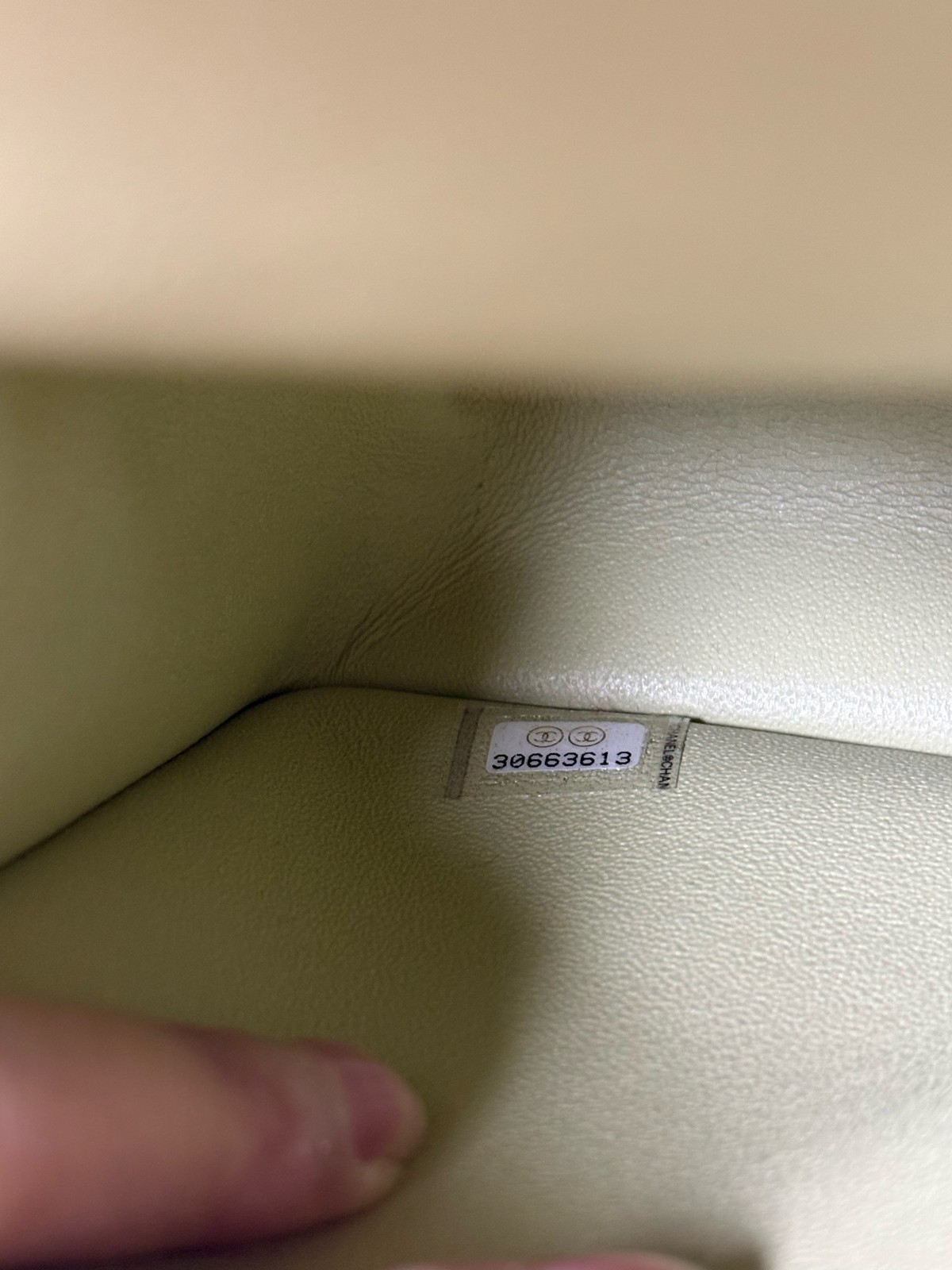 Chanel Vertical 2.55 Mini Camera Bag Green Shearling Gold Hardware 30 Series EUC