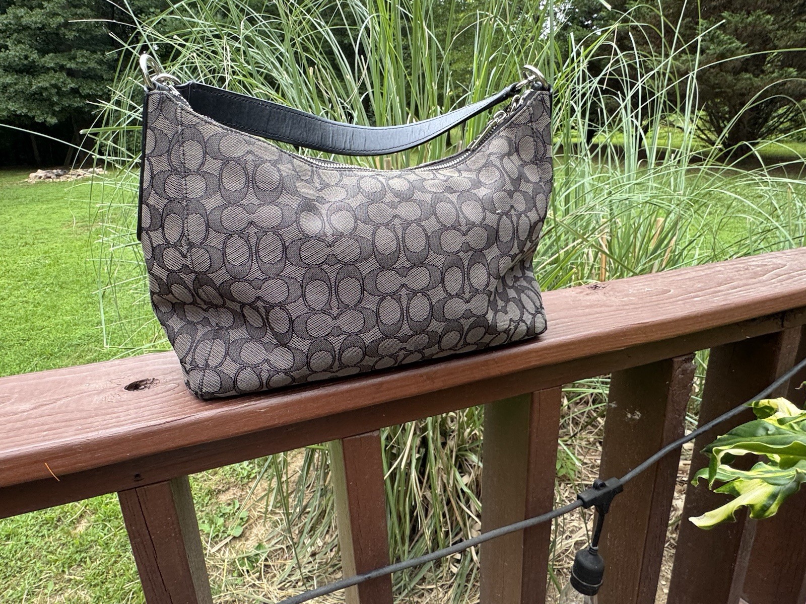 Coach Jacquard Celeste Convertible Hobo Bag F58284