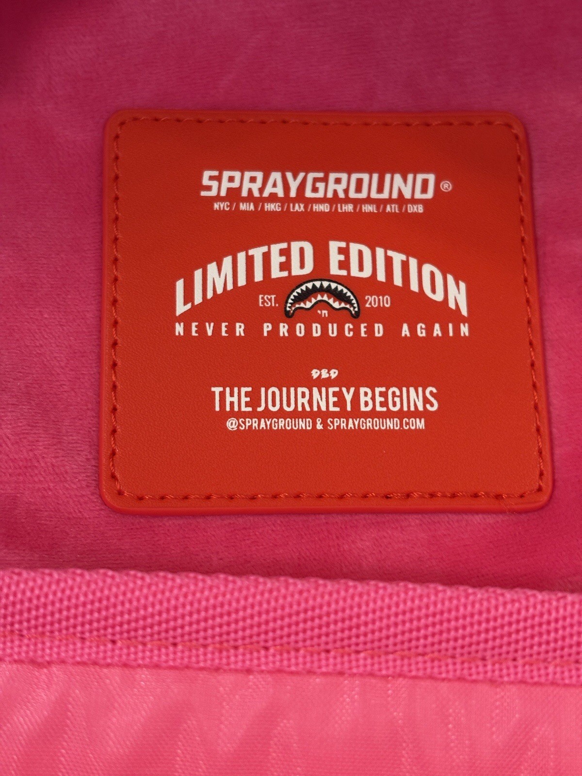 Sprayground Susie Rugrats Flowers Limited Edition Backpack