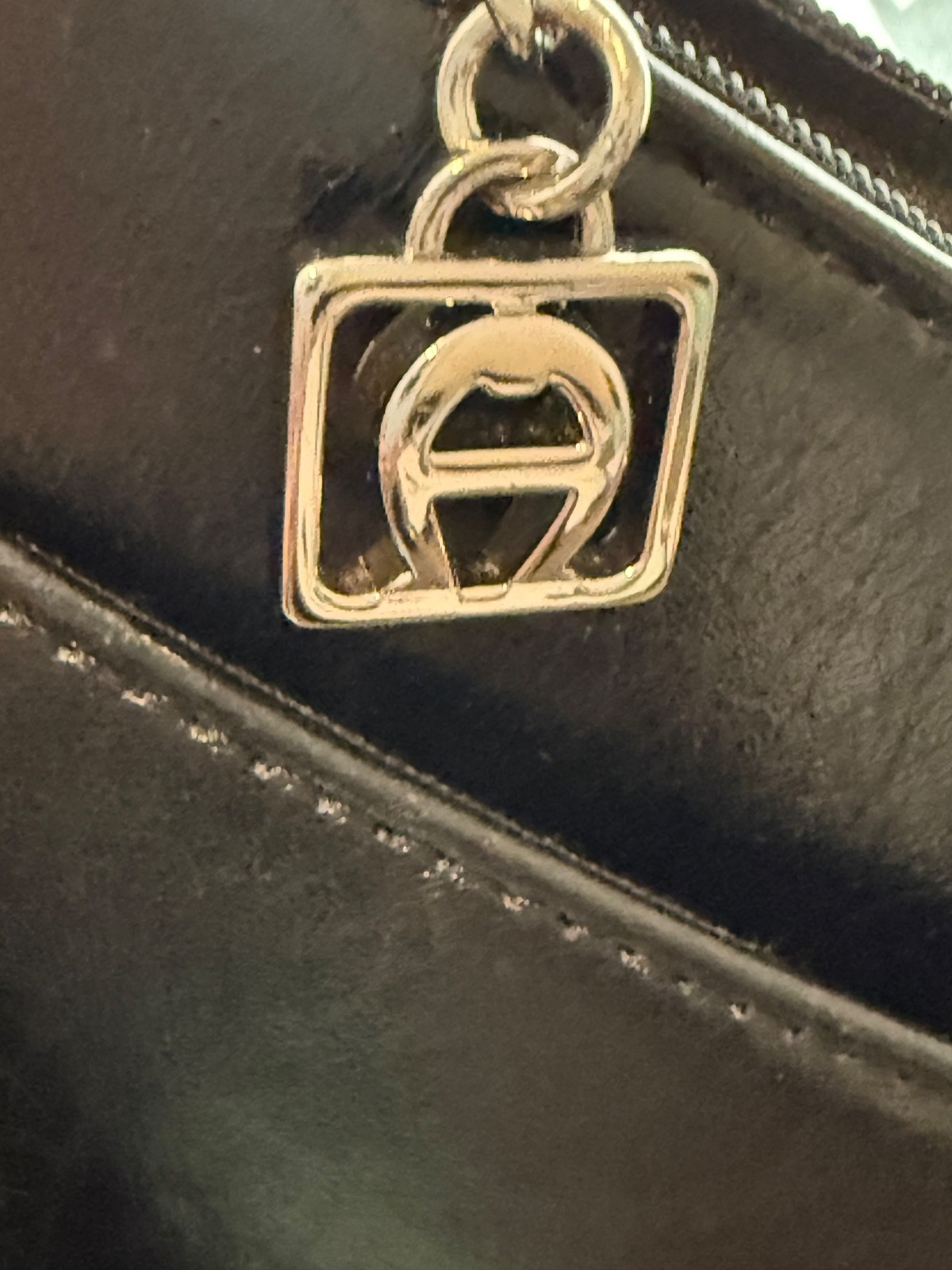 Etienne Aigner Classic Logo Black Leather Shoulder Bag with Silver Tone Hardware