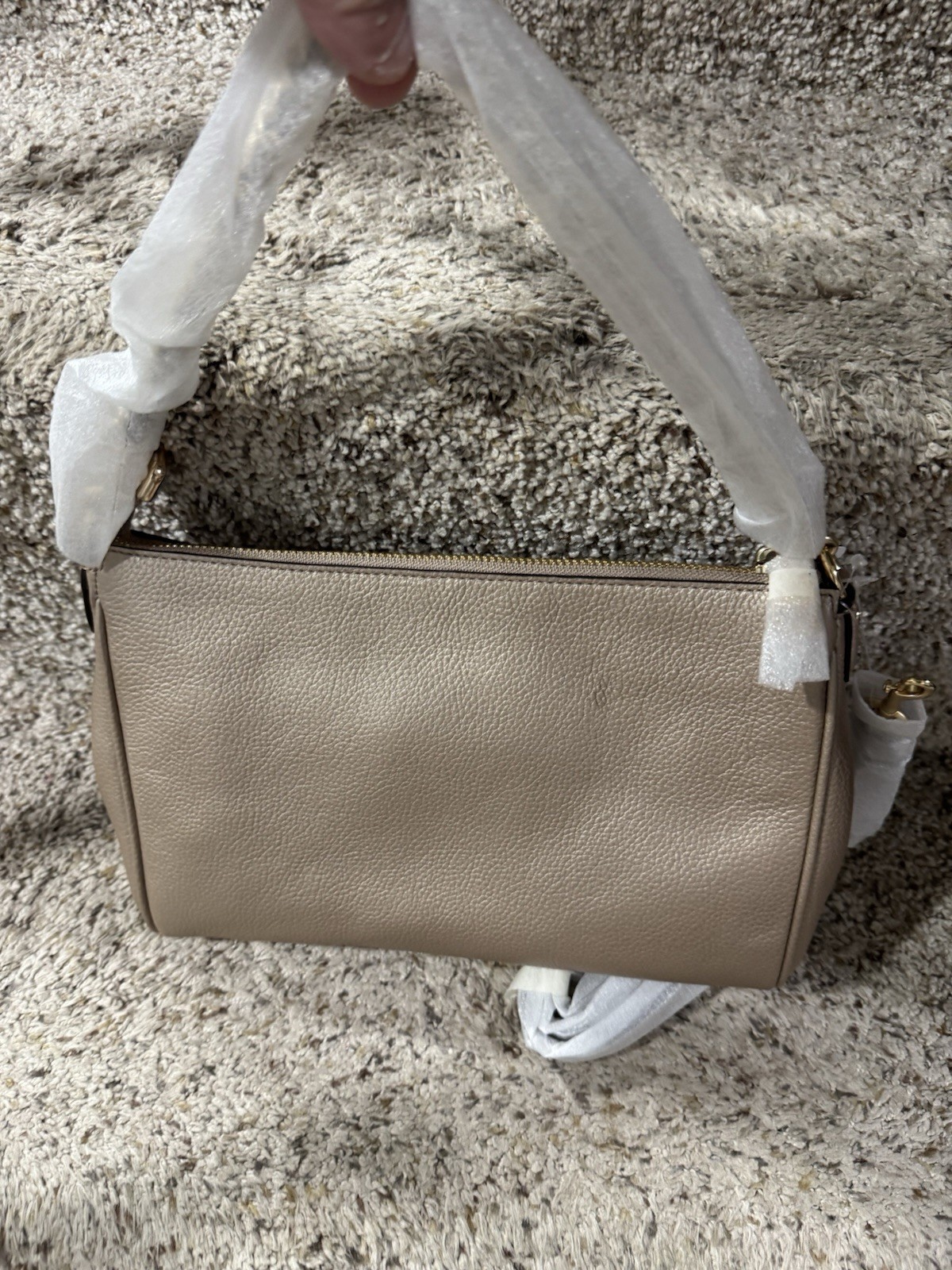 NWT Coach Carrie Pebble Leather Crossbody 22207 Metallic Platinum