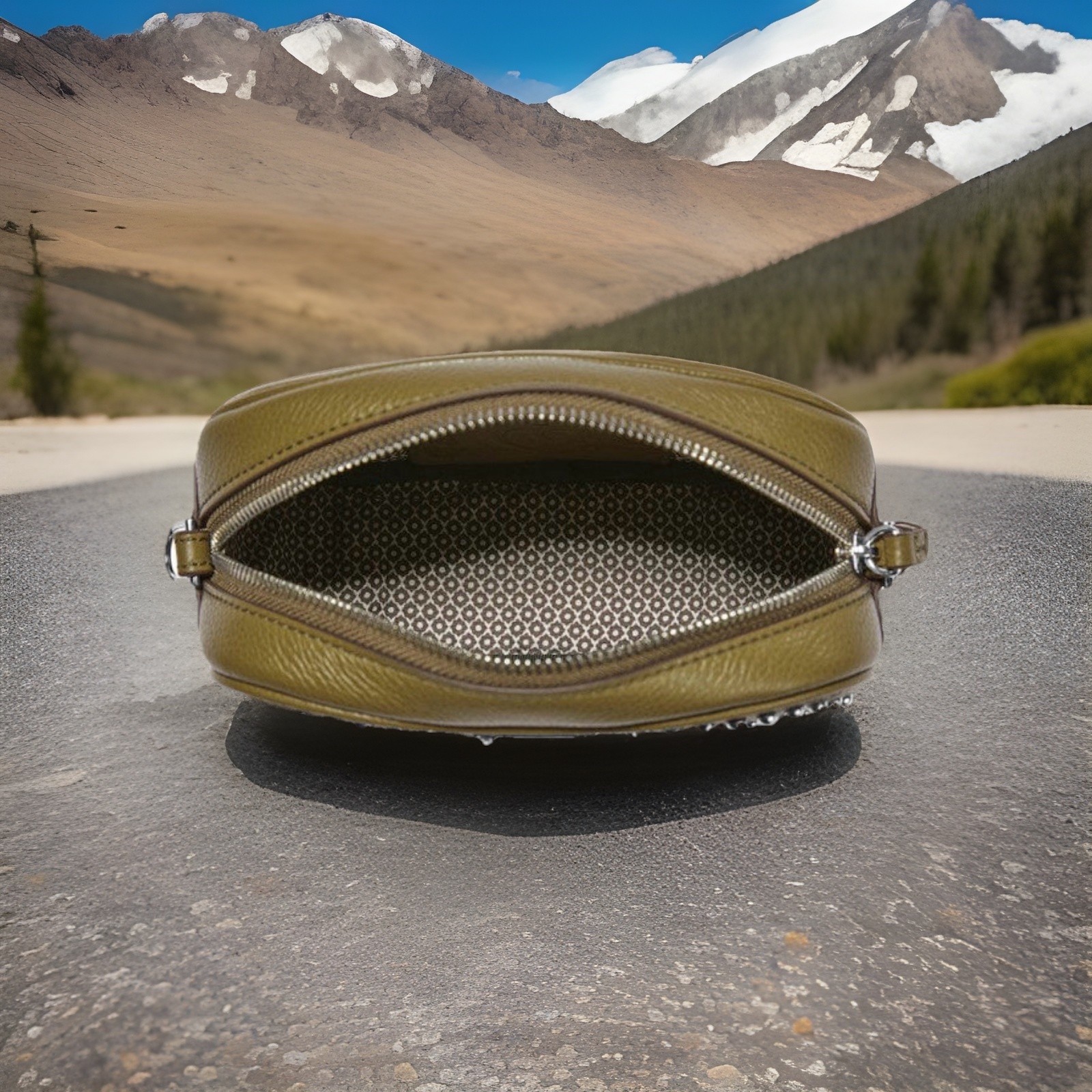 Brighton PERRY Camera Bag Pretty Tough List $295 H1615V Olive