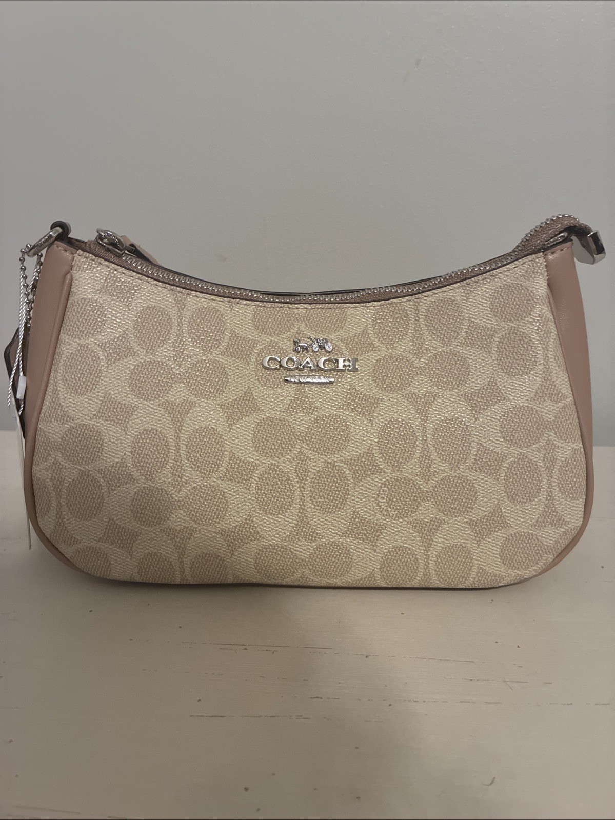 Silver Brown And Tan Coach Teri Bag