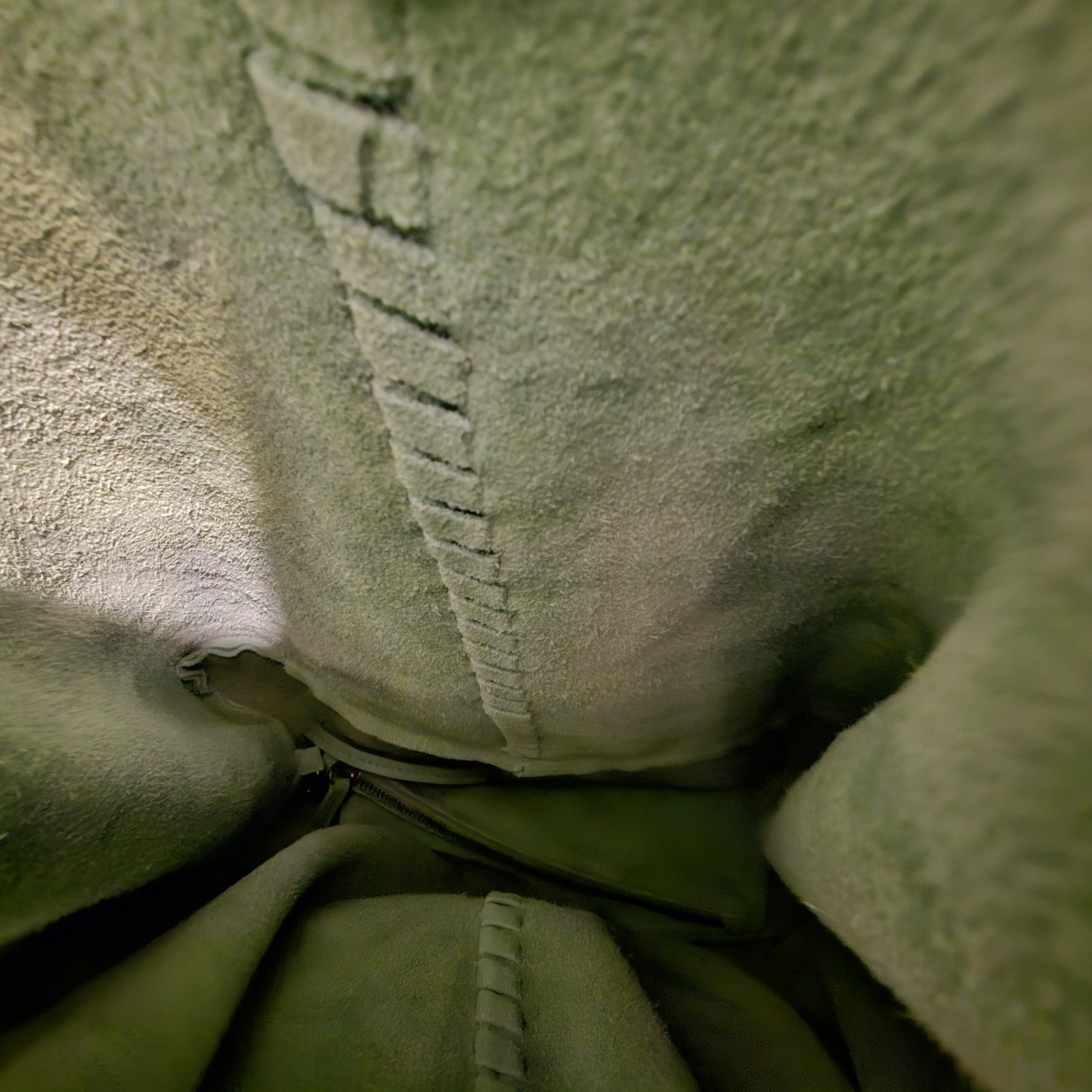 HAUTE HIPPIE Leather Festival Suede Hobo Light Green Purse Bag With Pouch EUC