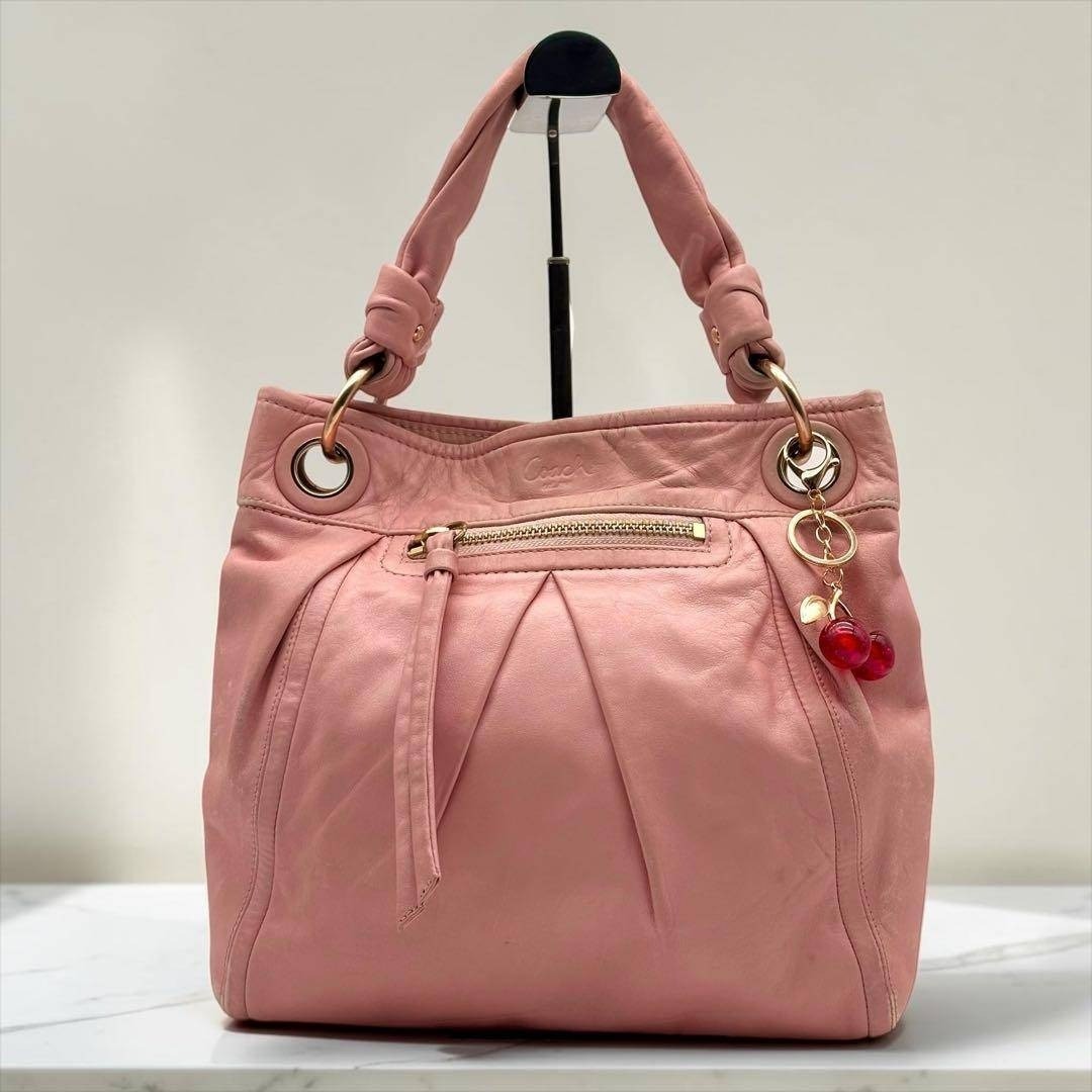 Coach Parker Hippie Pleated Leather Convertible Hobo Shoulder Bag Pink 13416