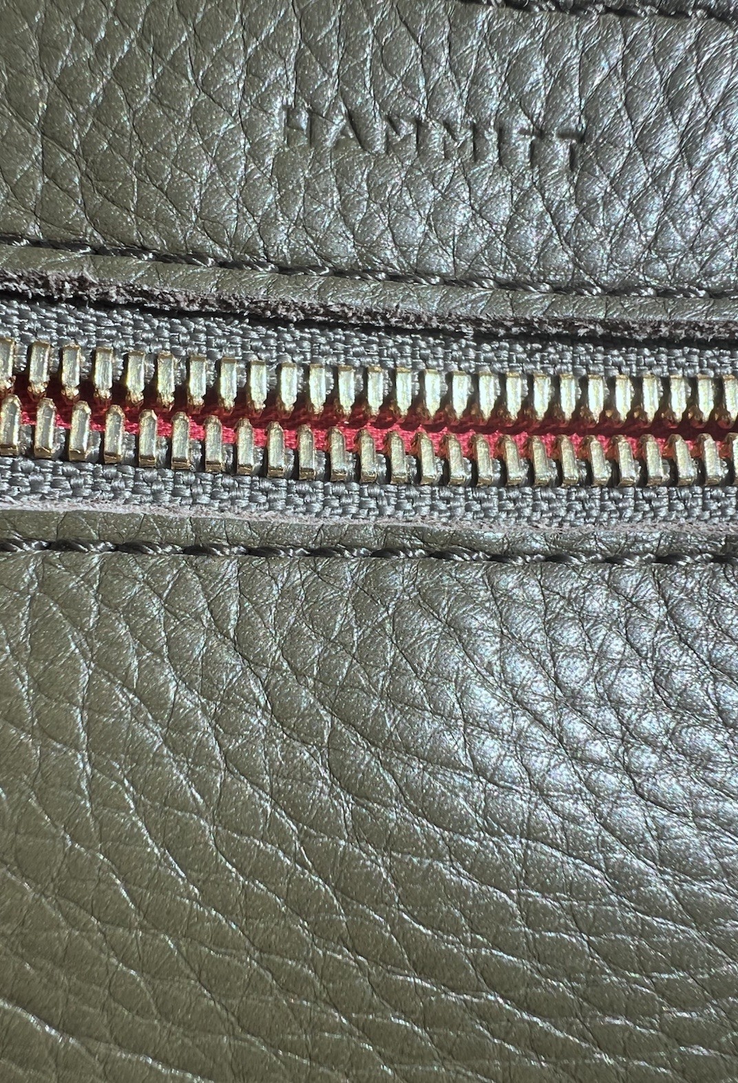 NWT Hammitt Charles Med Olive/Brushed Gold Crossbody Belt Bag