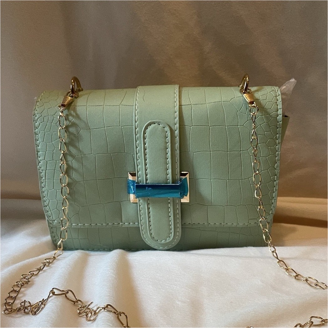 Small Green Crocodile Embossed Crossbody Bag Buckle, Gold Chain Strap, Black